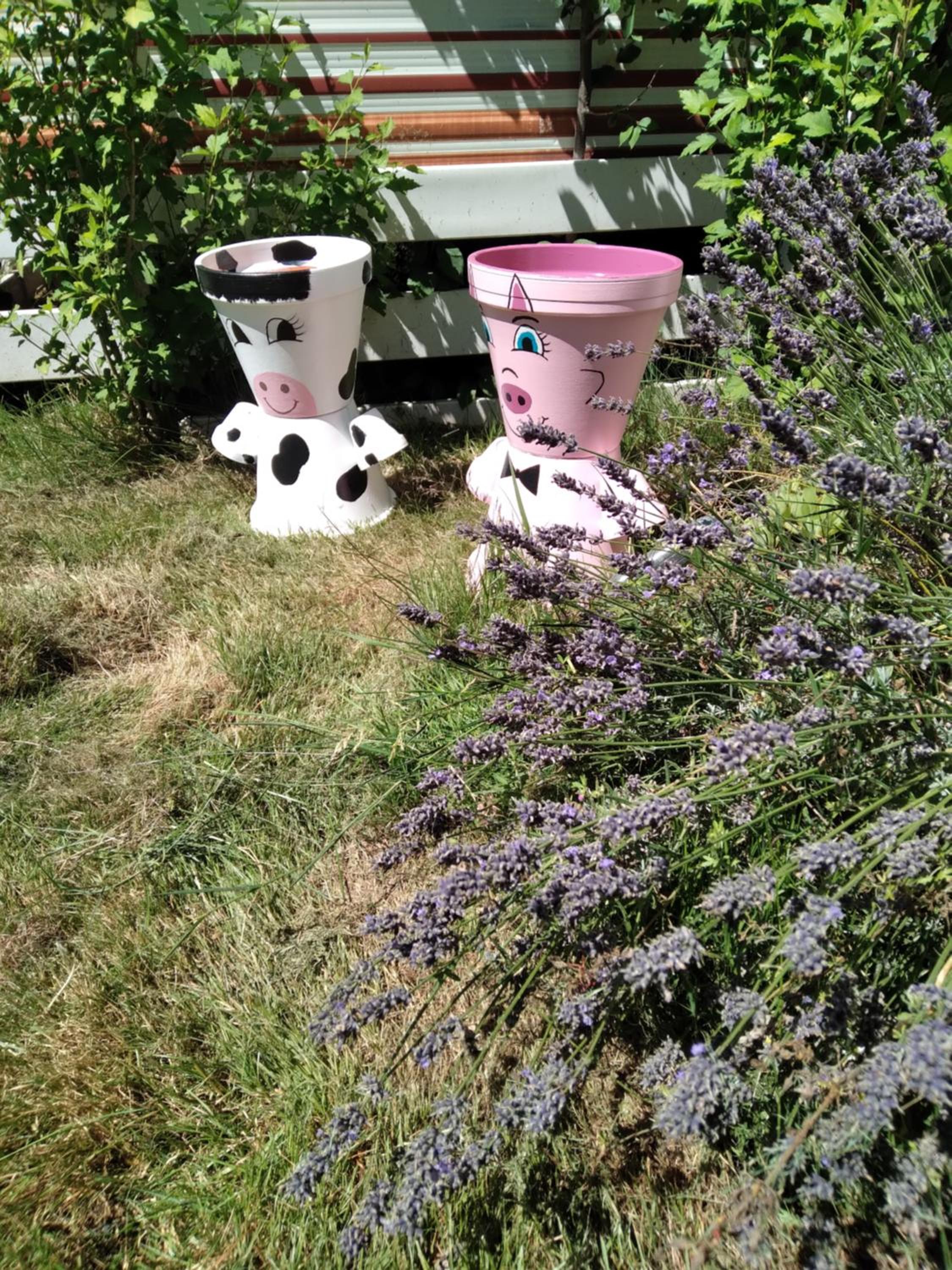 Photo 20