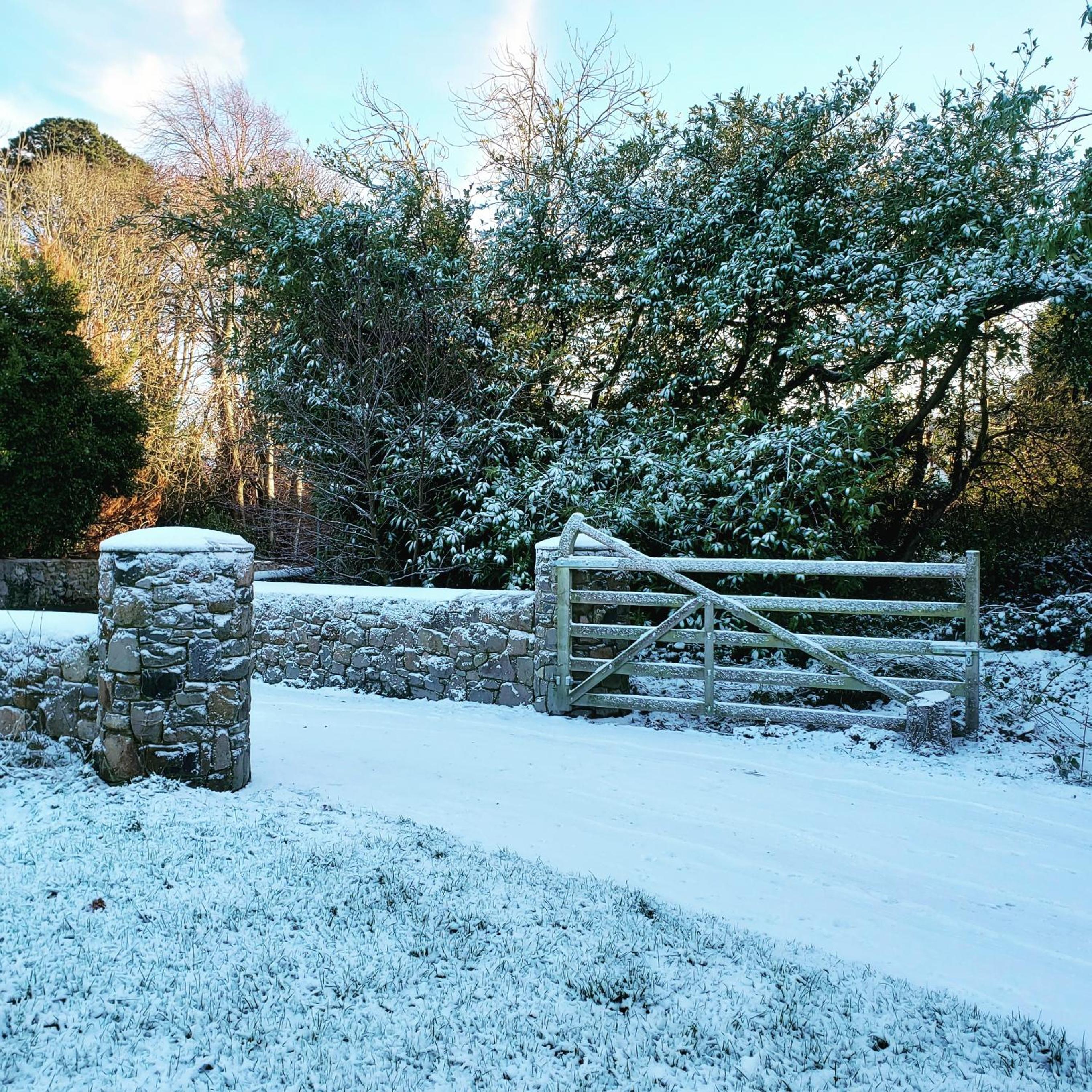 Bryansford Cottage Stables