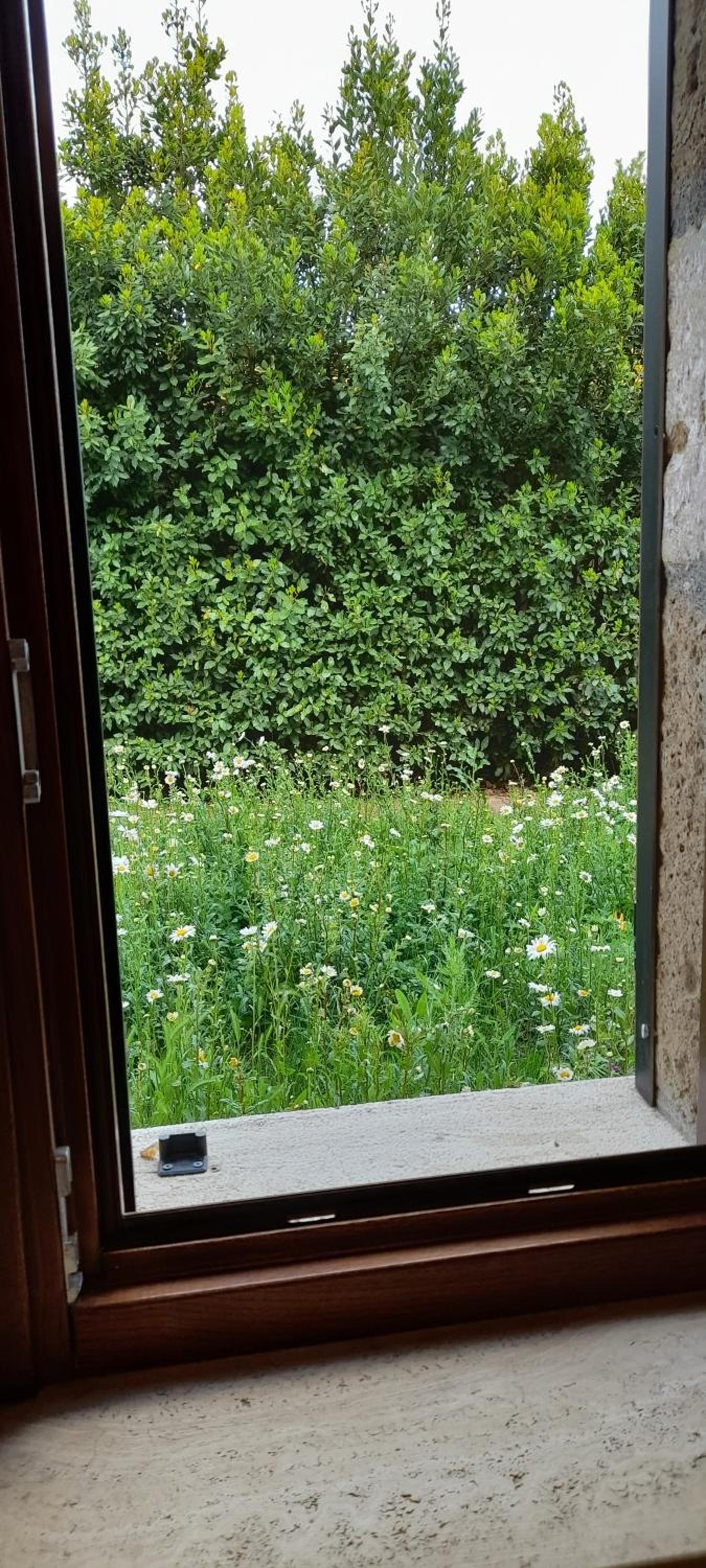 Le Sorgenti
