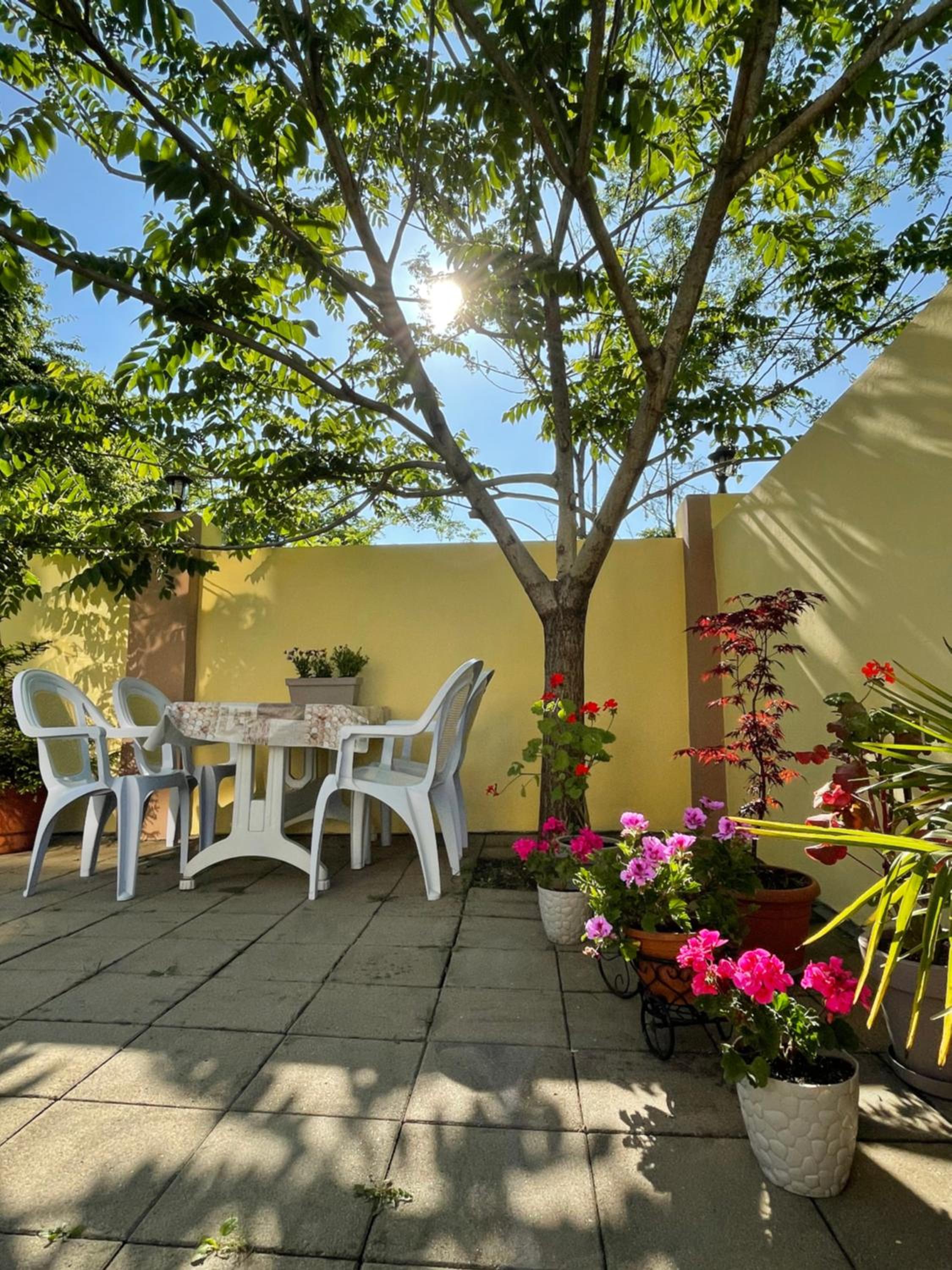 Guest House Kobuleti