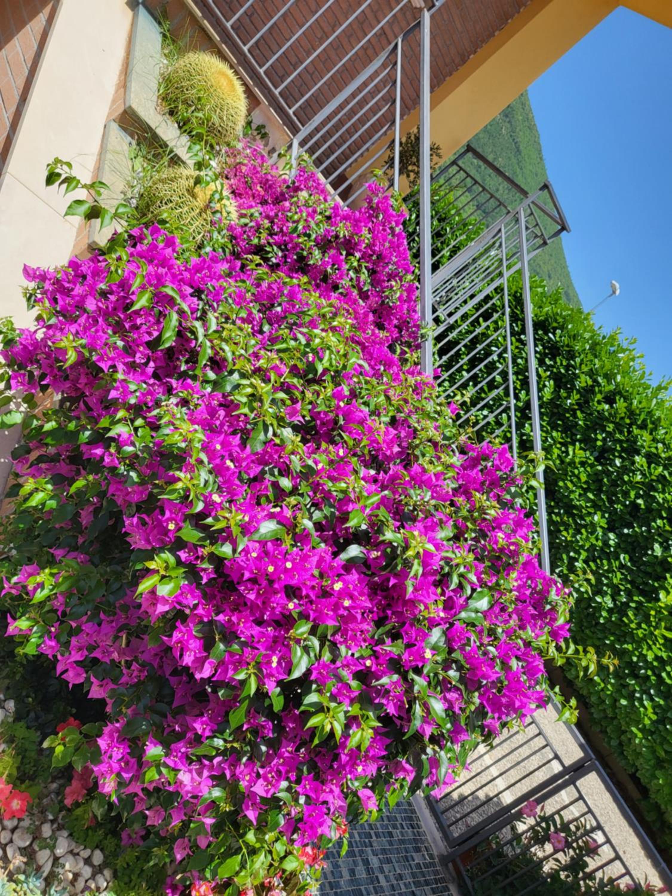 B&B Rossella view 3