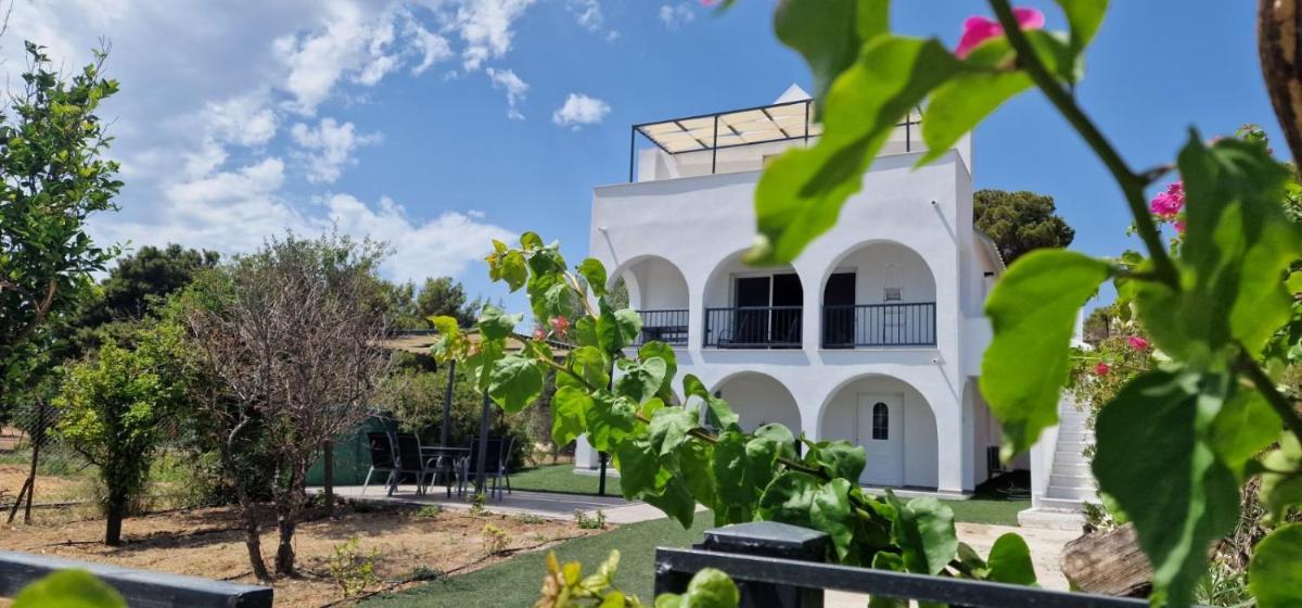 Villa Madenia — photo 3