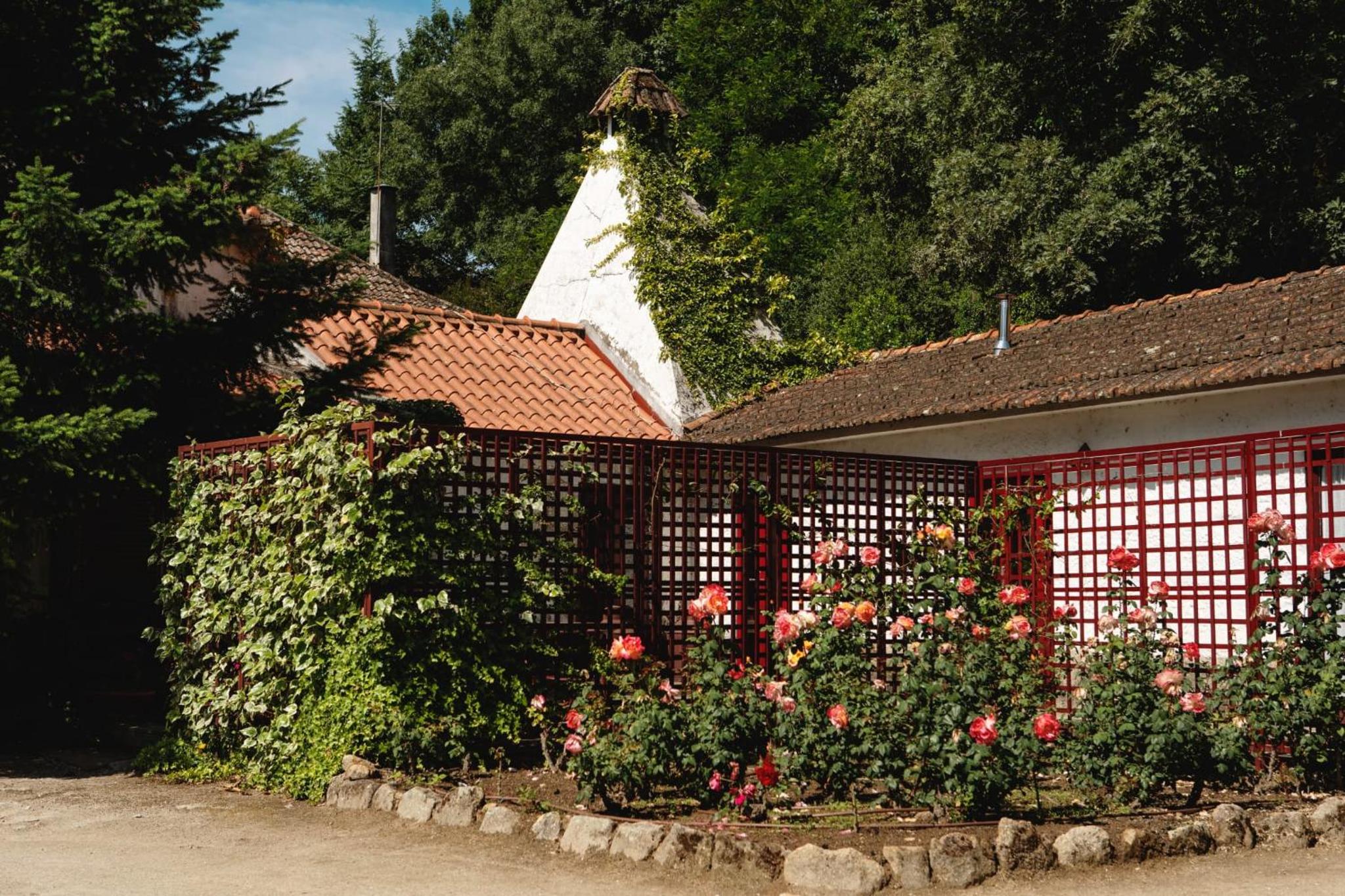 Casa Agricola da Levada Eco Village