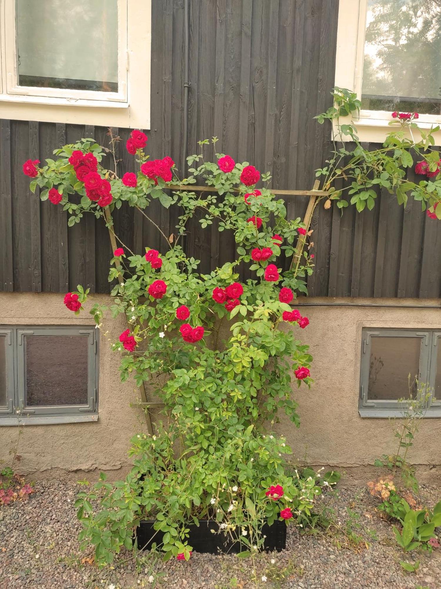 Photo 39