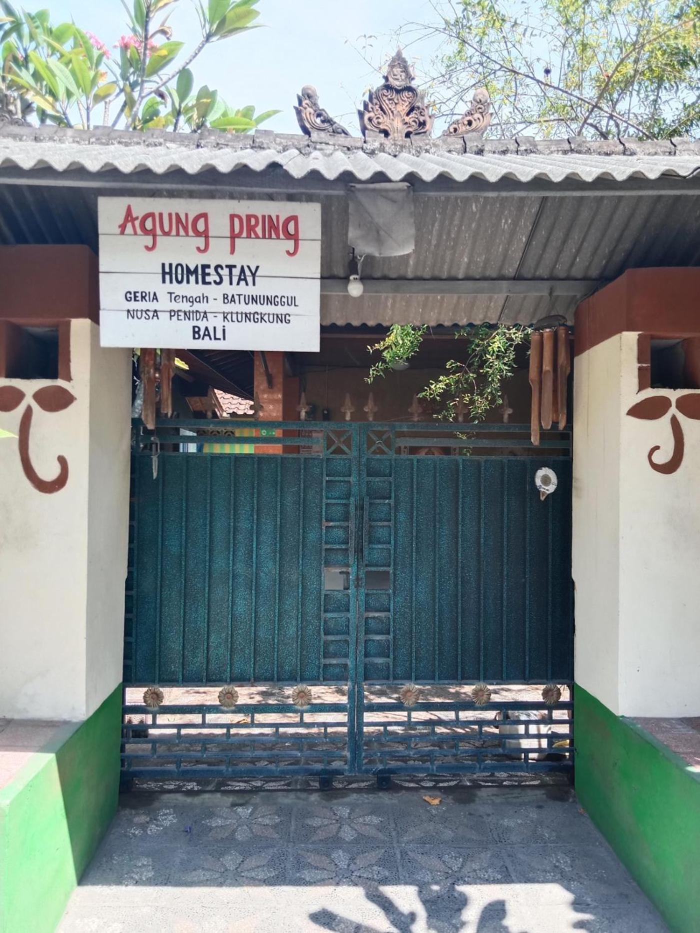 Agung Pring Homestay view 3