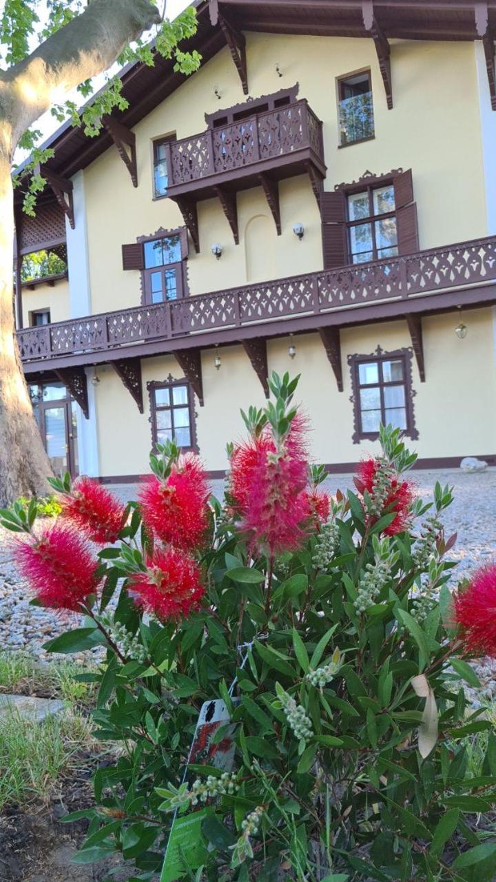 Villa Musik - apartments in historical Villa , Baden