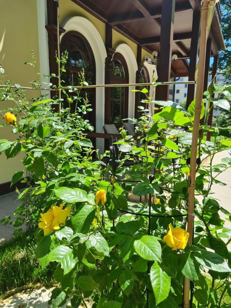 Villa Musik - apartments in historical Villa , Baden
