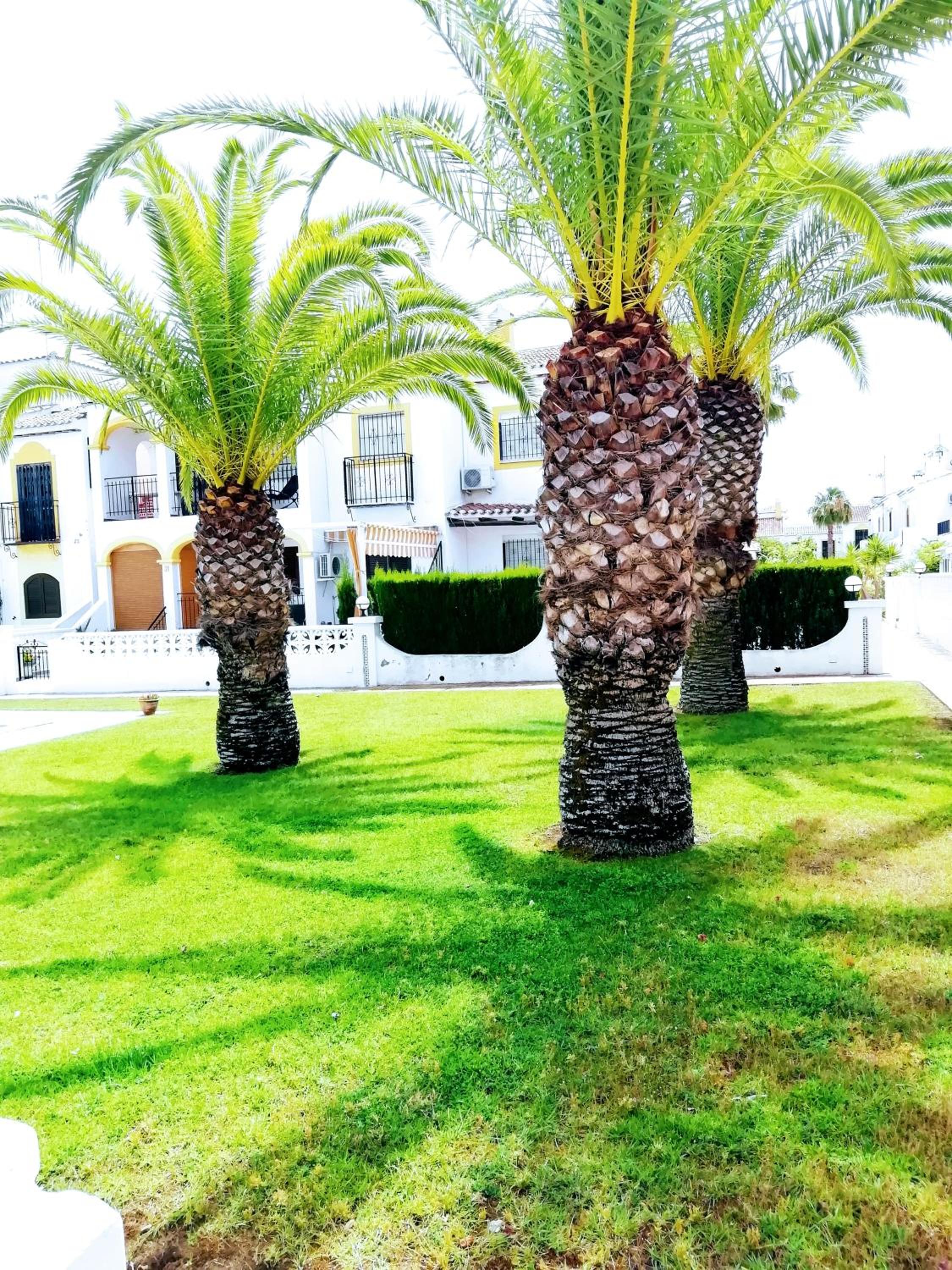 Welcoming House in Torrevieja with Shared Pool
