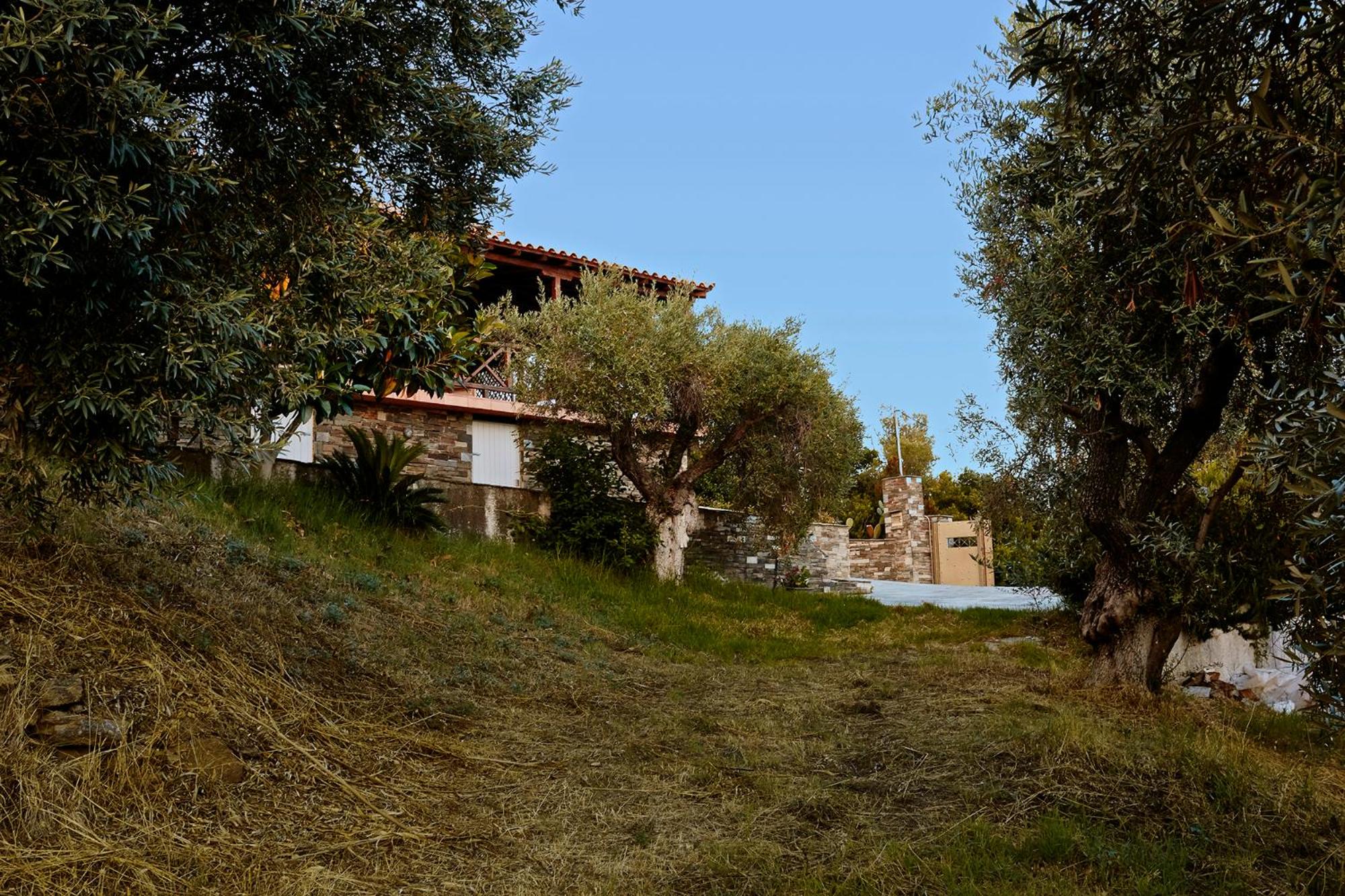 Photo 19