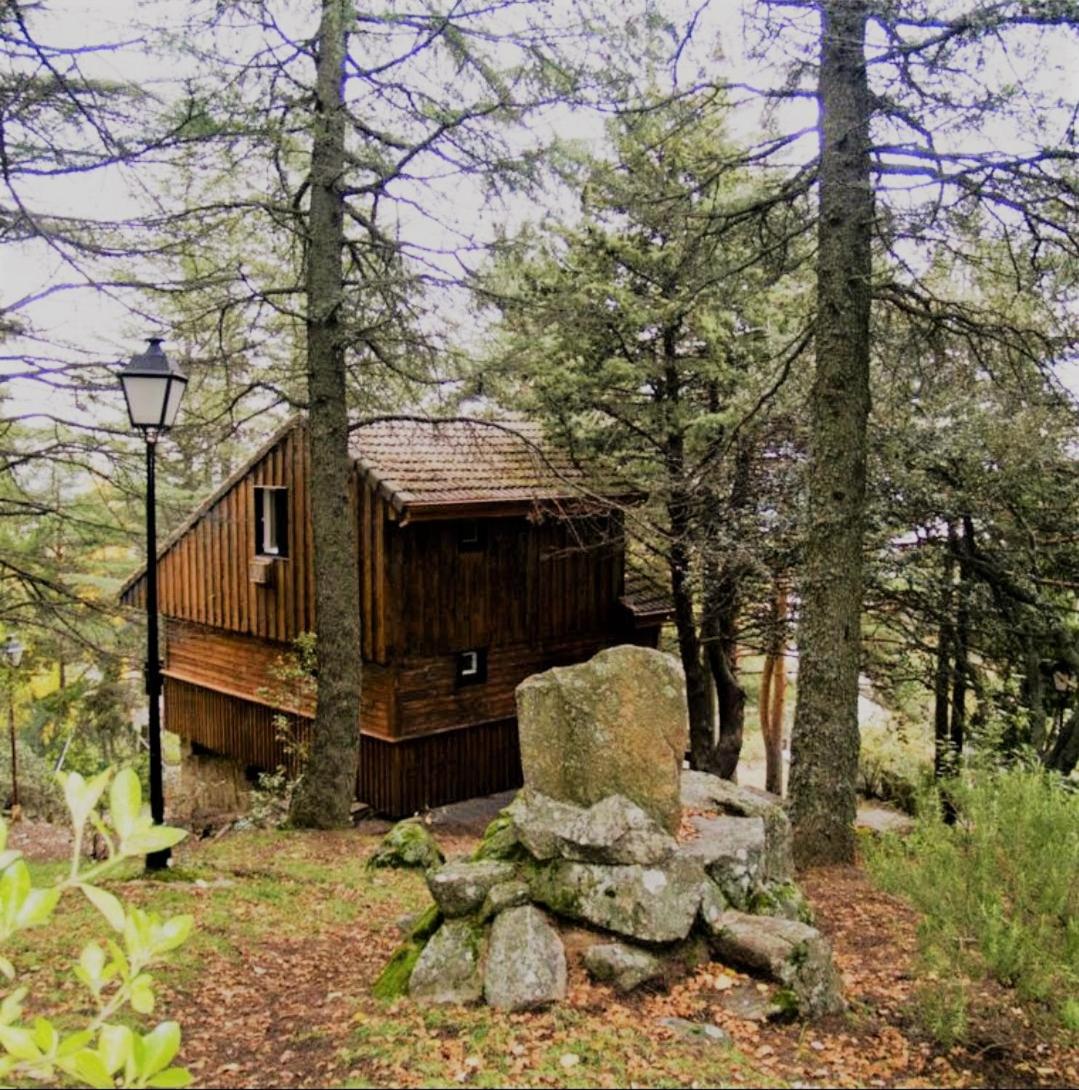 Cabañas Navacerrada photo 3