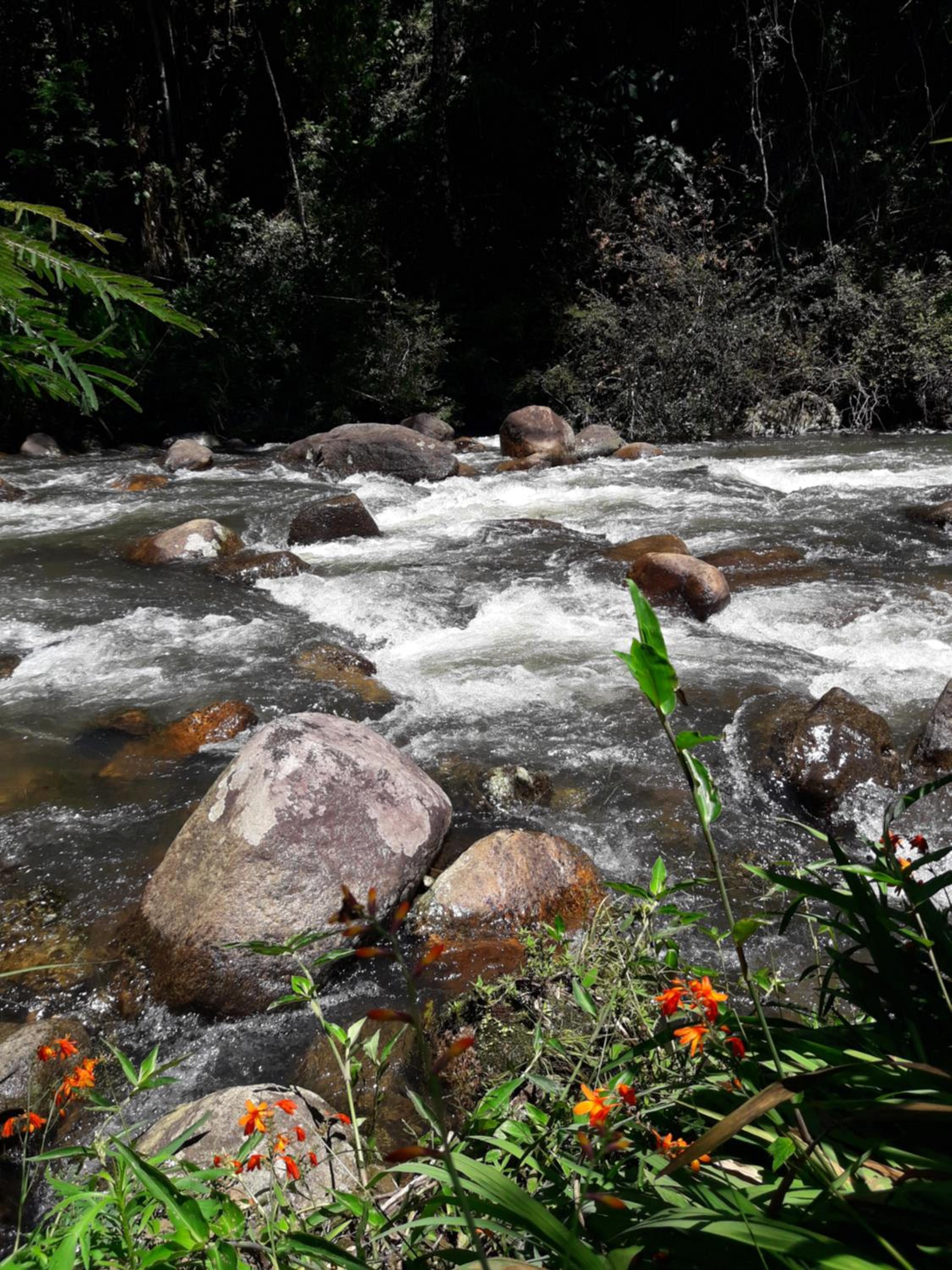 Pousada Estância Rio Acima