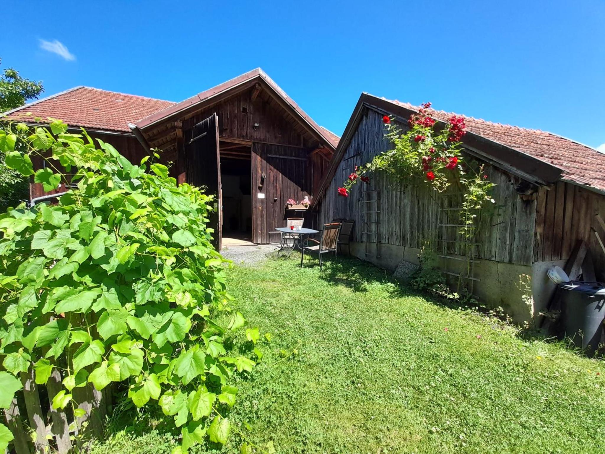Ferienwohnung im Seidlerhof mit Balkon und Garten view 4