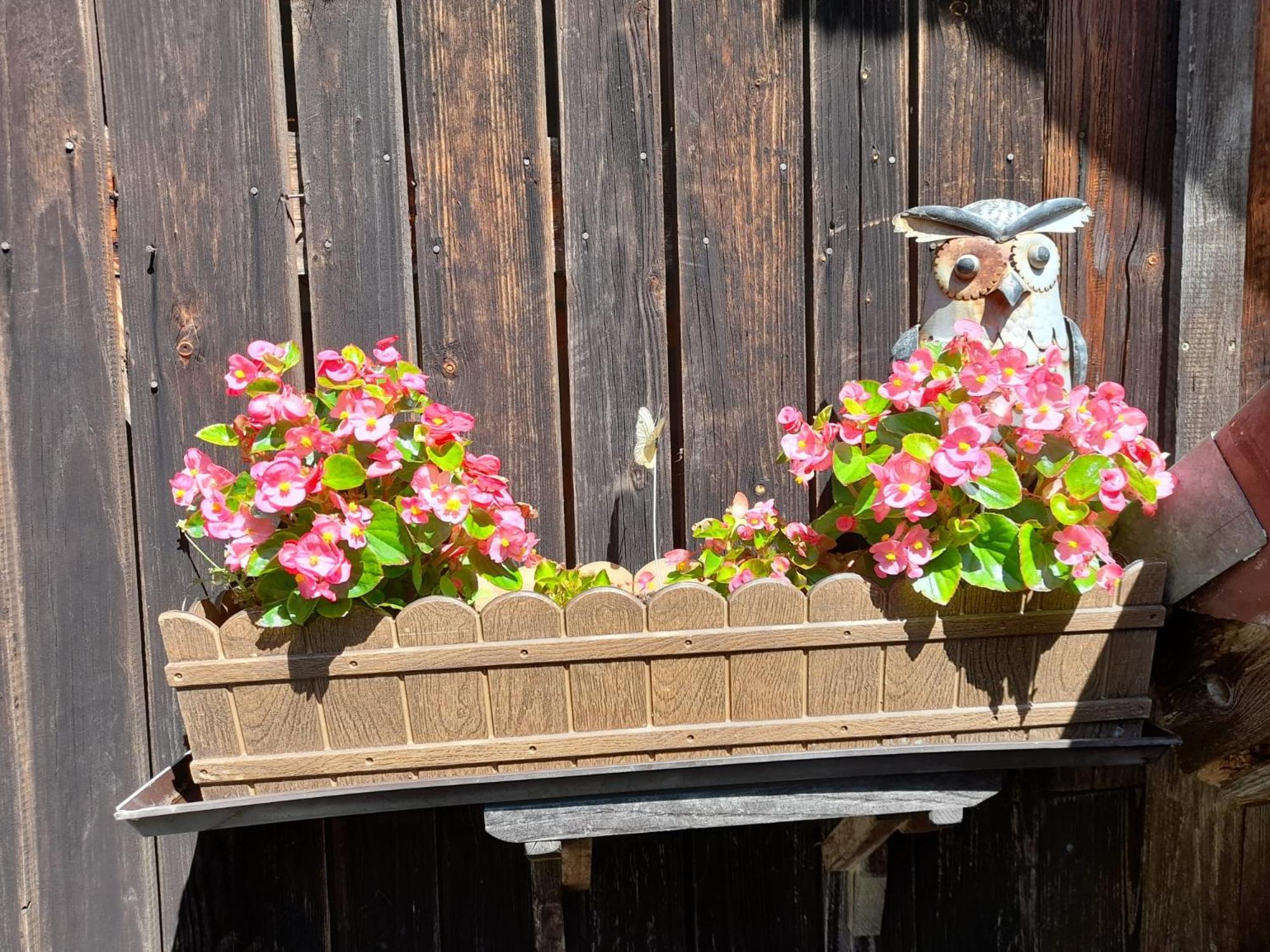 Ferienwohnung im Seidlerhof mit Balkon und Garten view 5