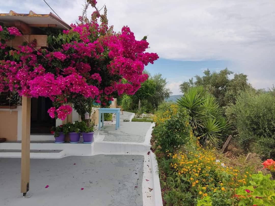 Villa Thea view 5