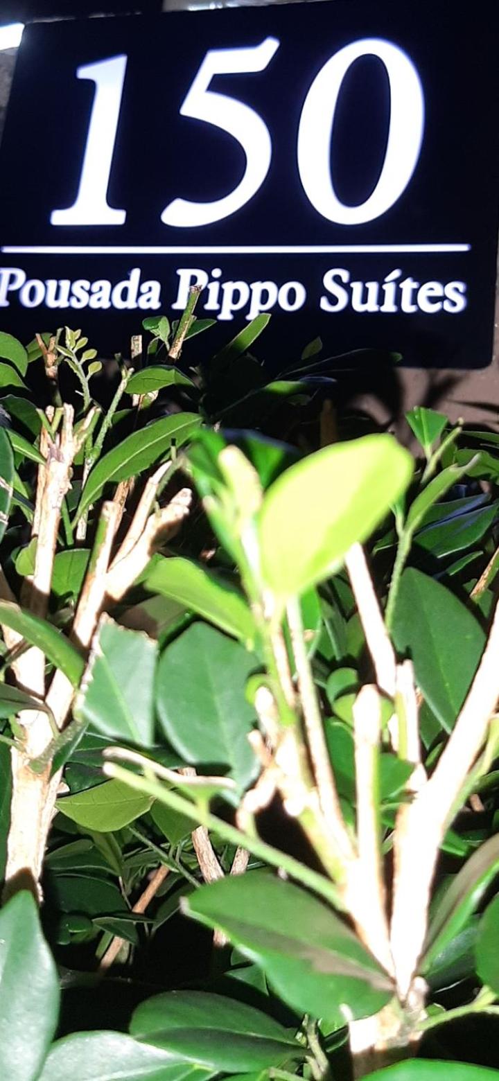 Pippo Suites Guarujá