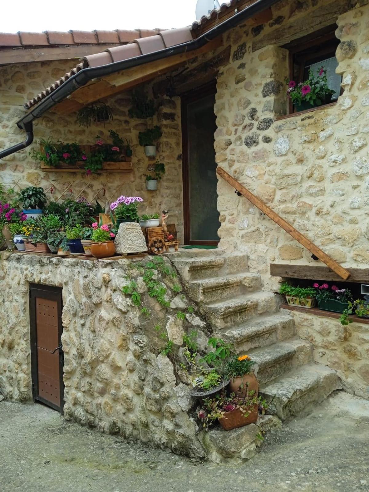 Photo 26