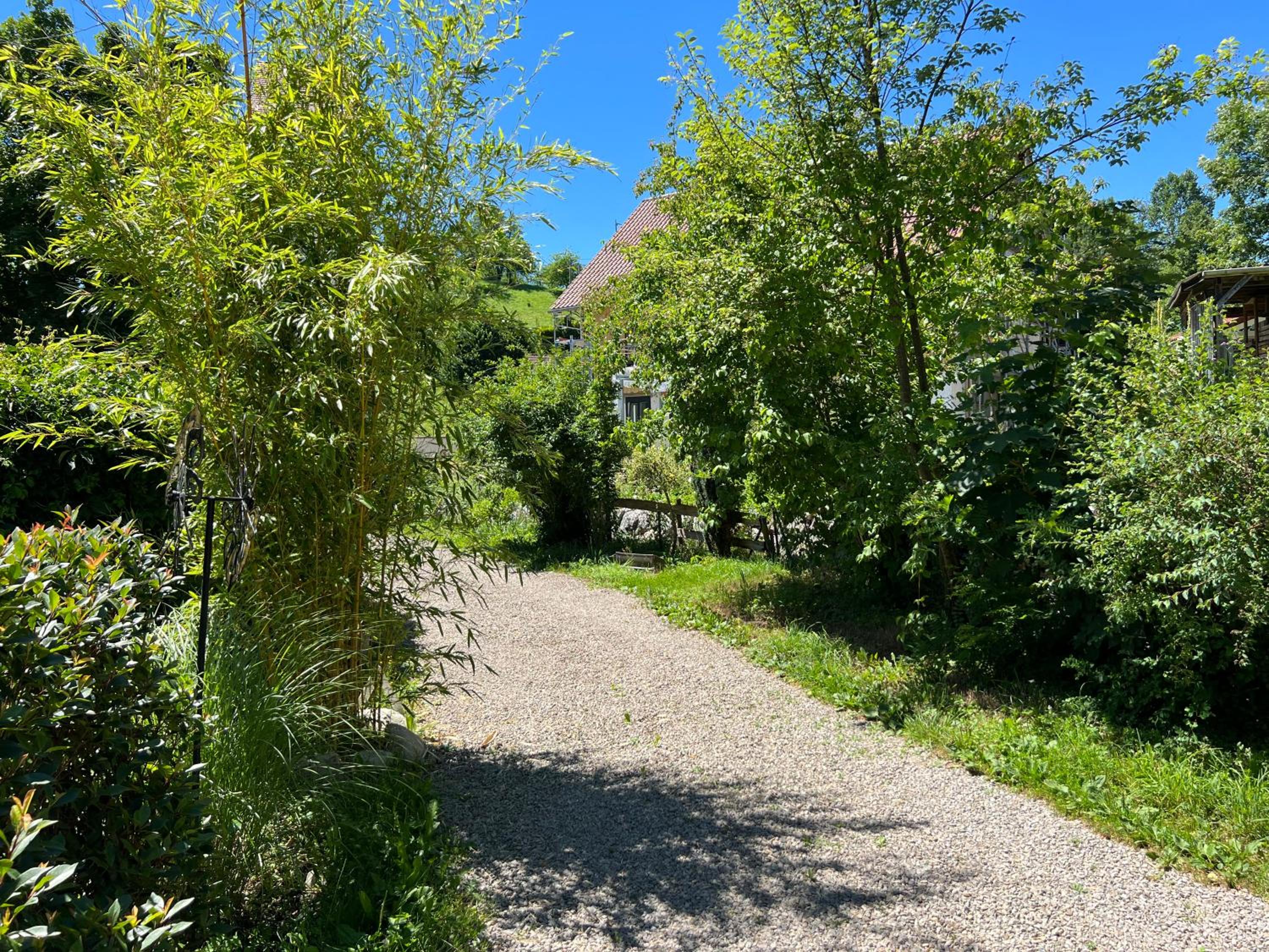 Pia's Nature Retreat