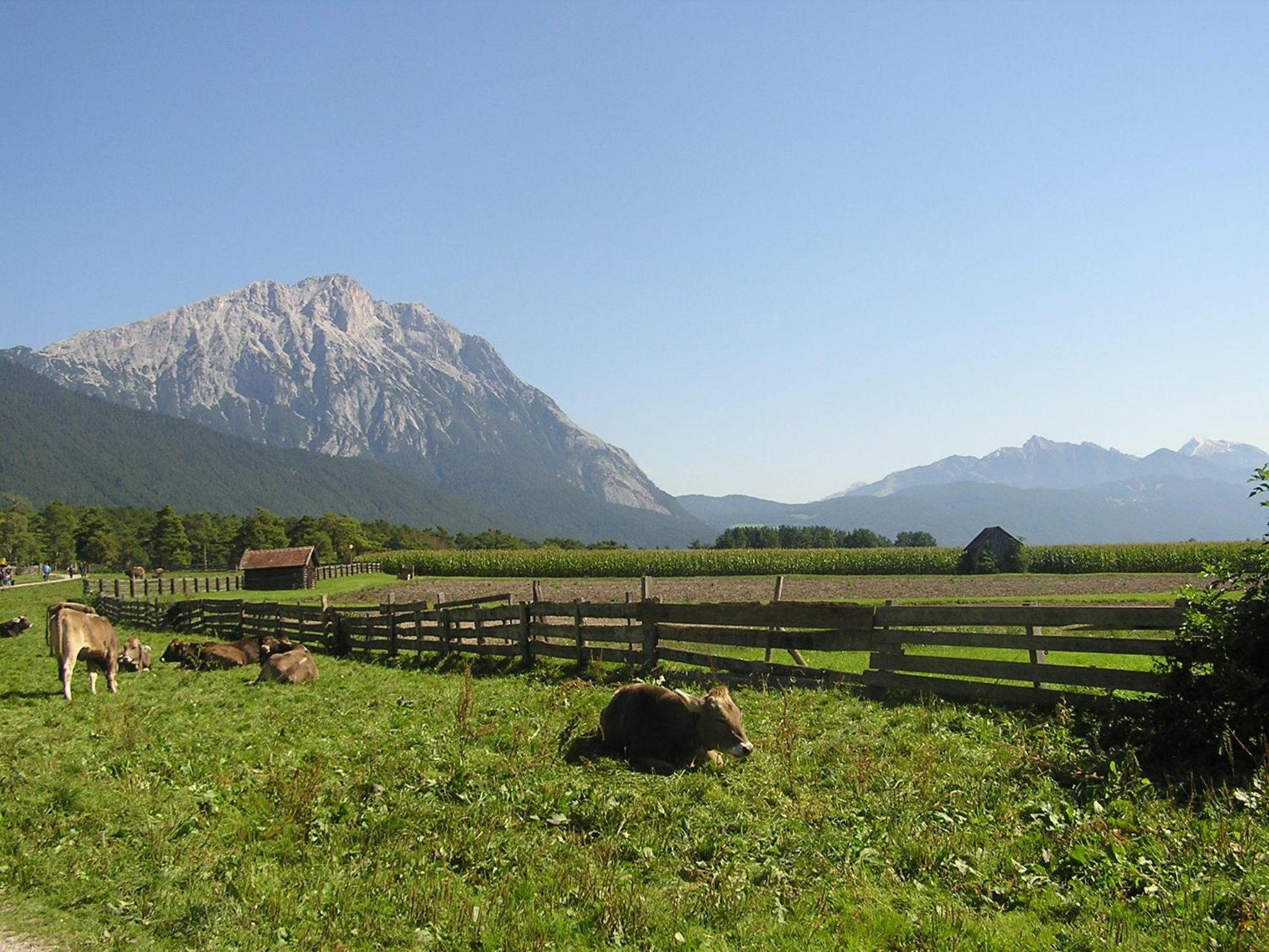 Pension Sonnenhof