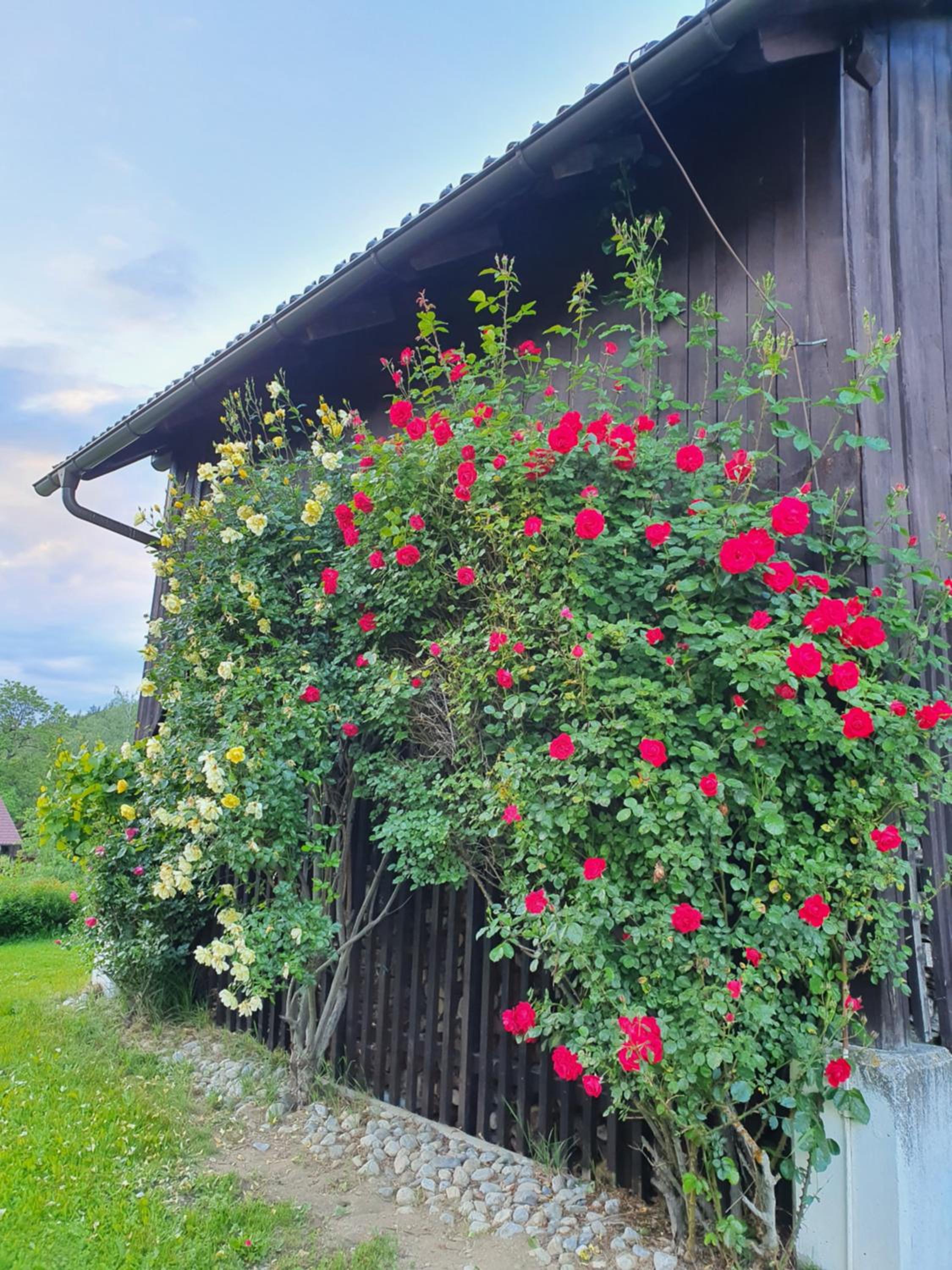 Charmantes Ferienhaus in bester Lage