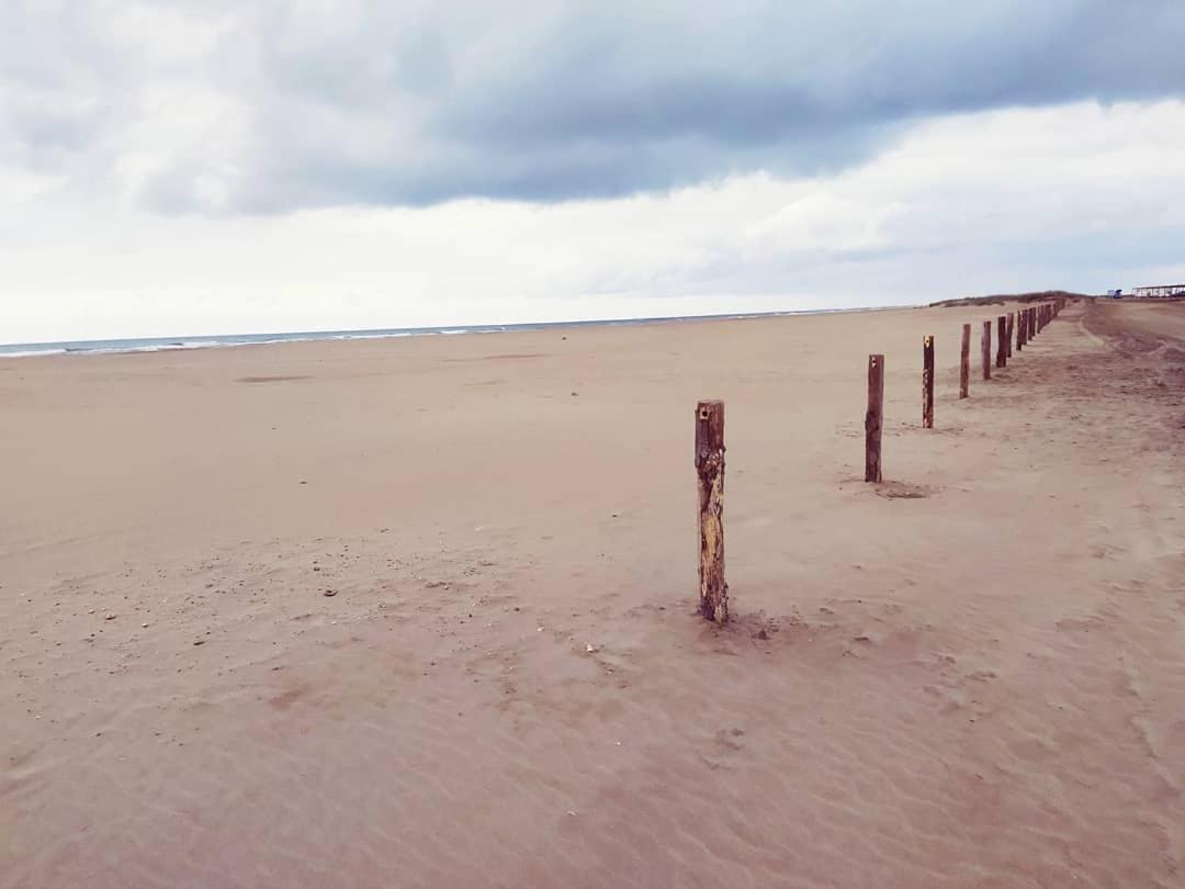 Looking at the Sea
