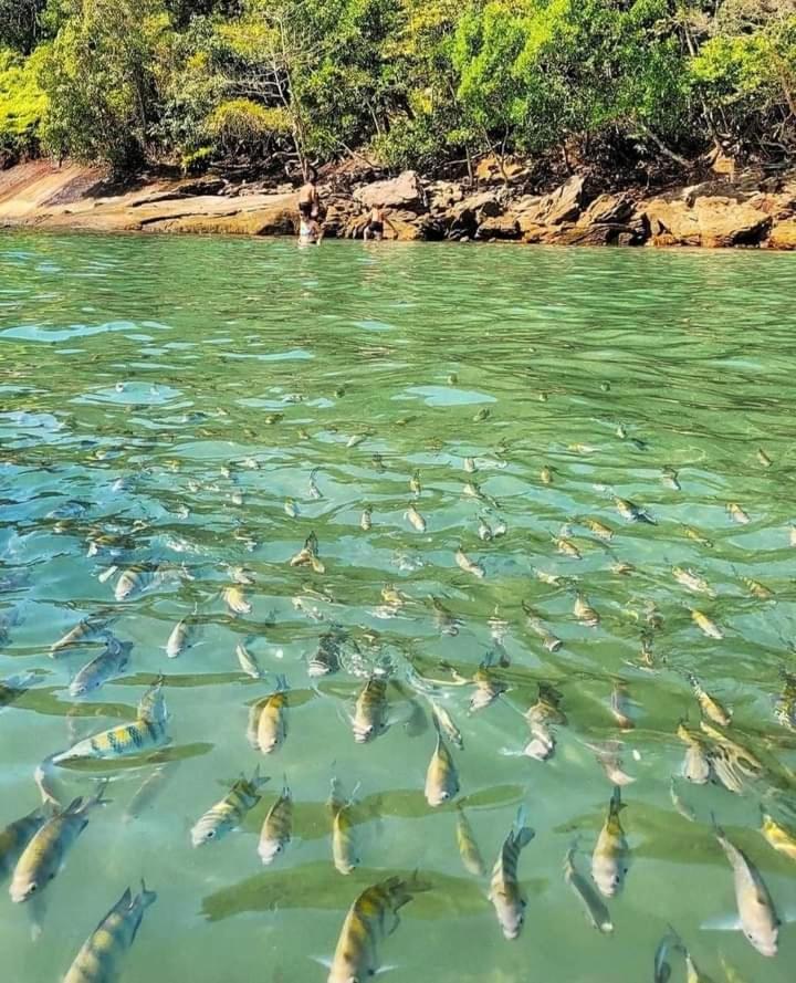 Praia Grande Ubatuba Casa Nova 5D