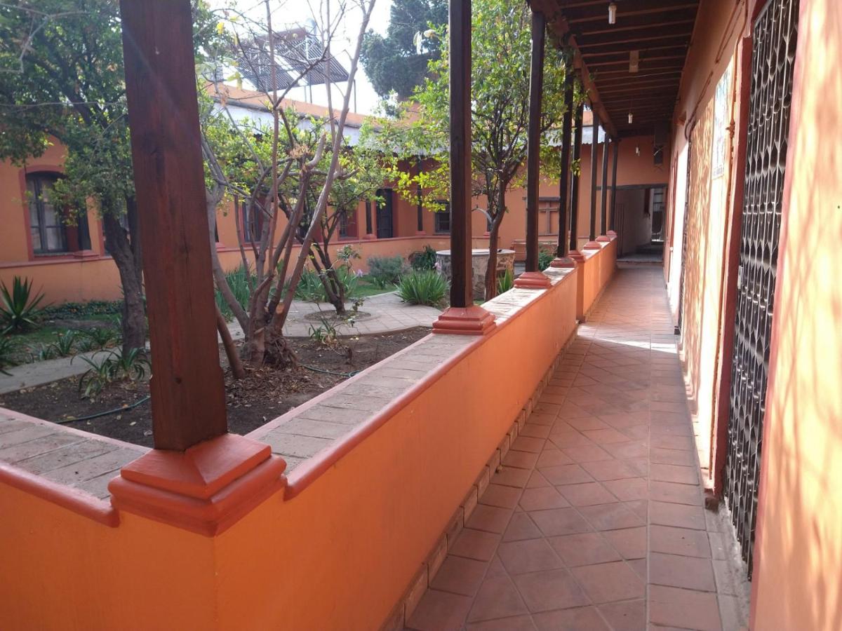 Photo 19