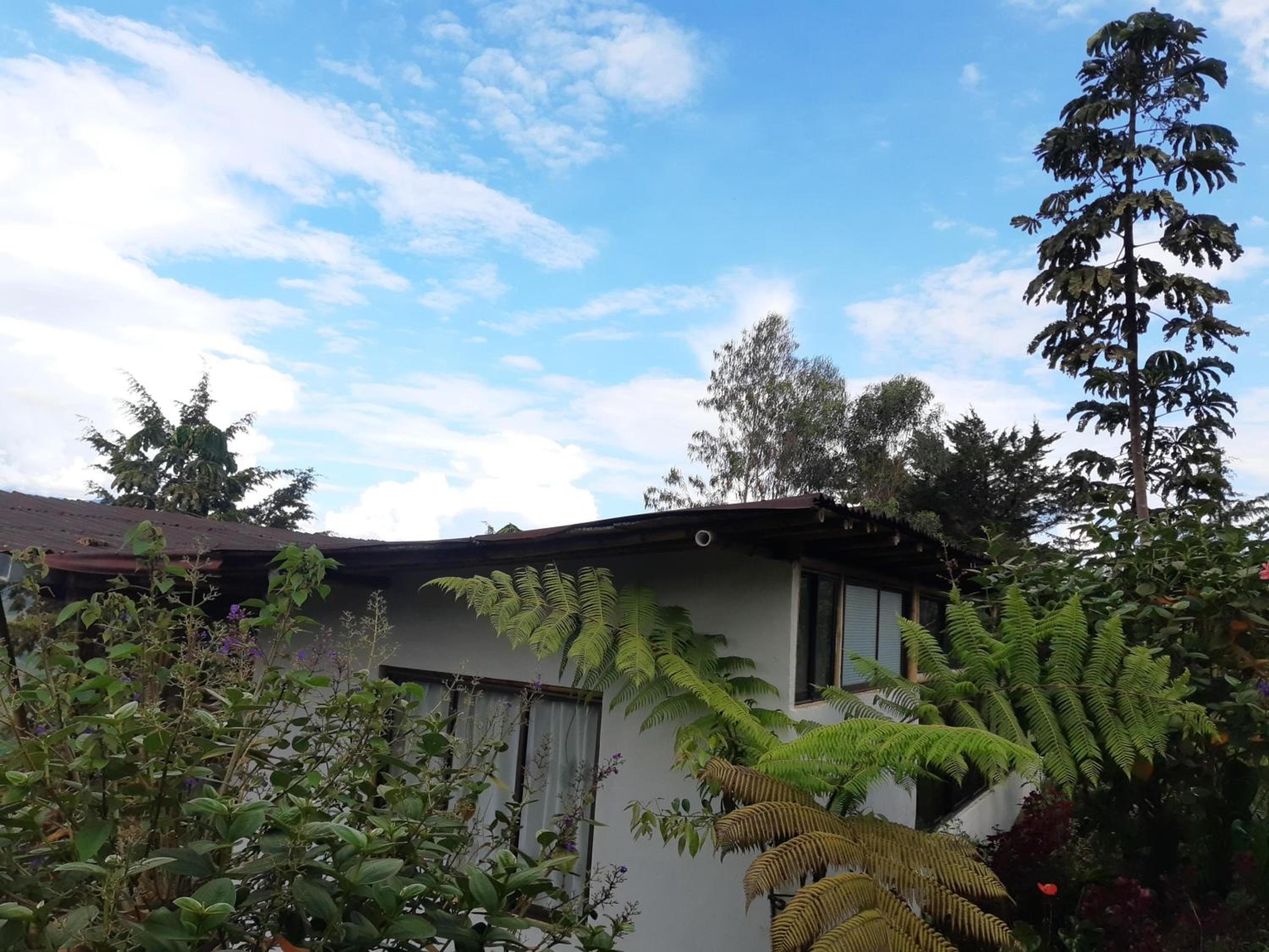 EcoCasa del Aire view 3