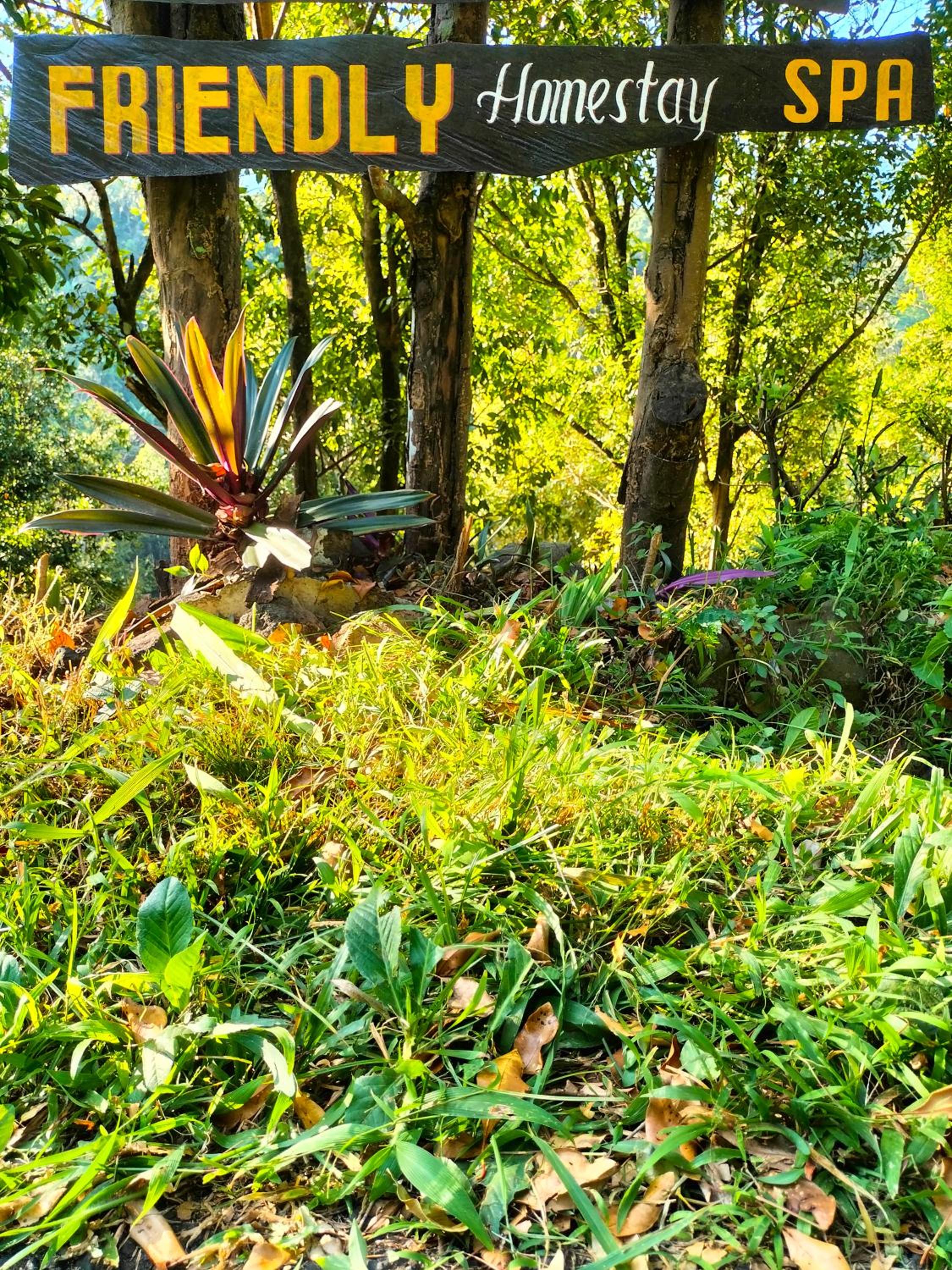 Friendly Homestay Lemukih
