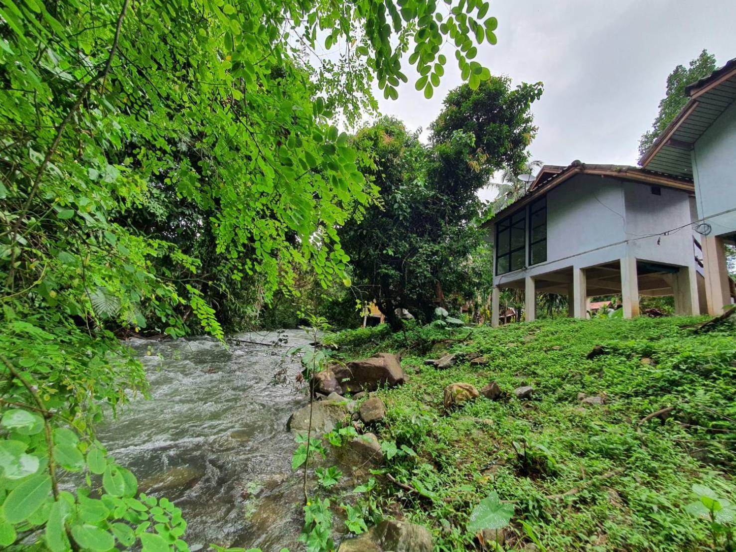 Hotel Malulee KhaoSok Resort