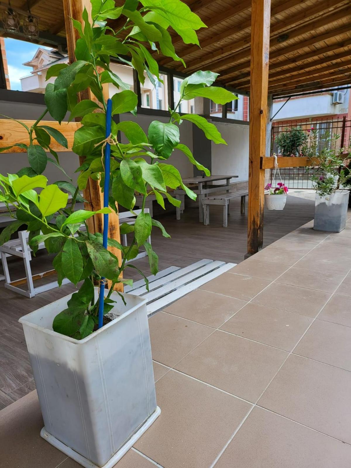 Guest House Petrovi