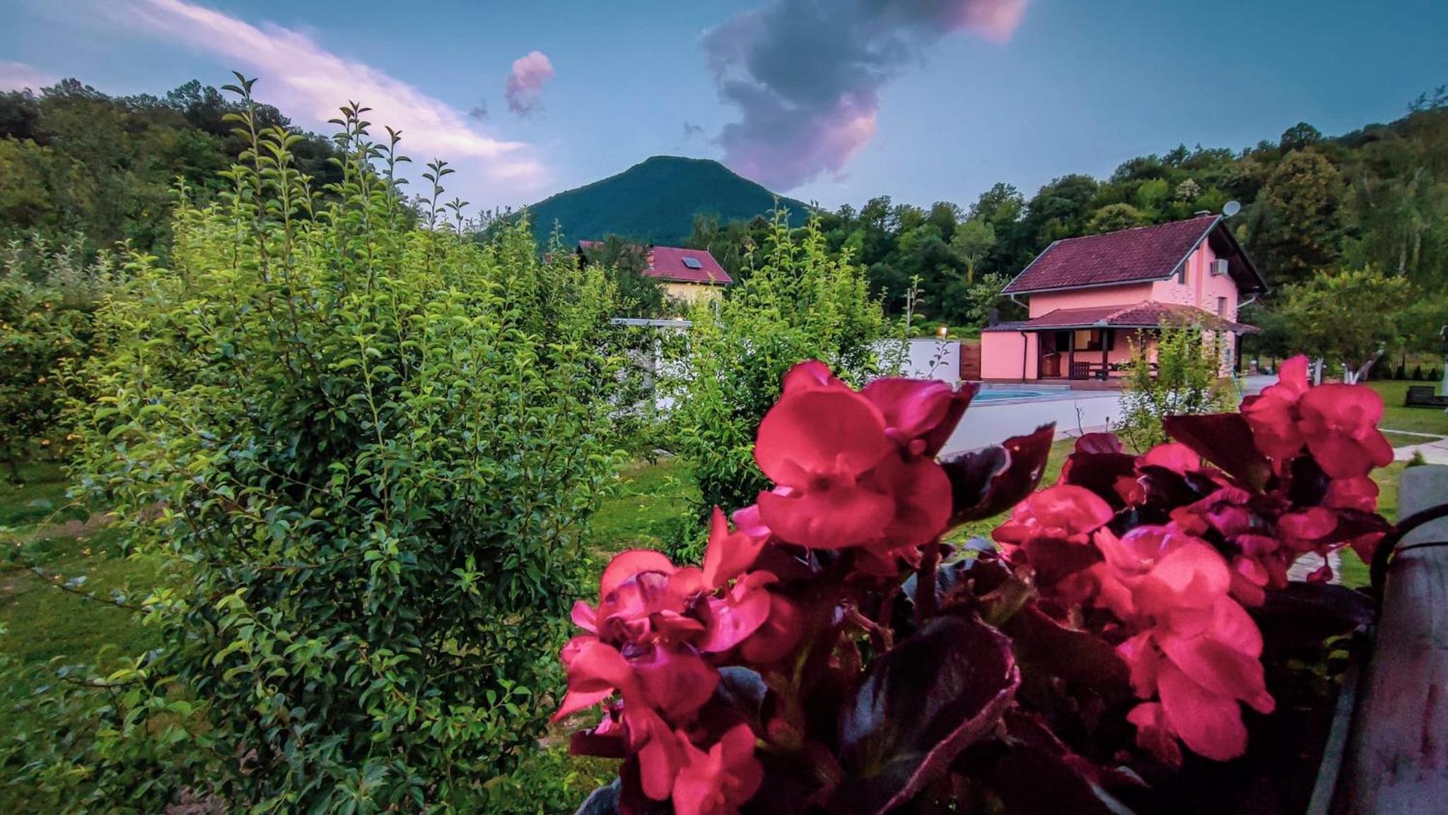 Holiday Home Emir