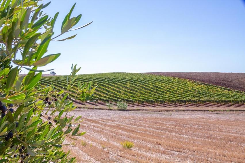 Agriturismo Severini