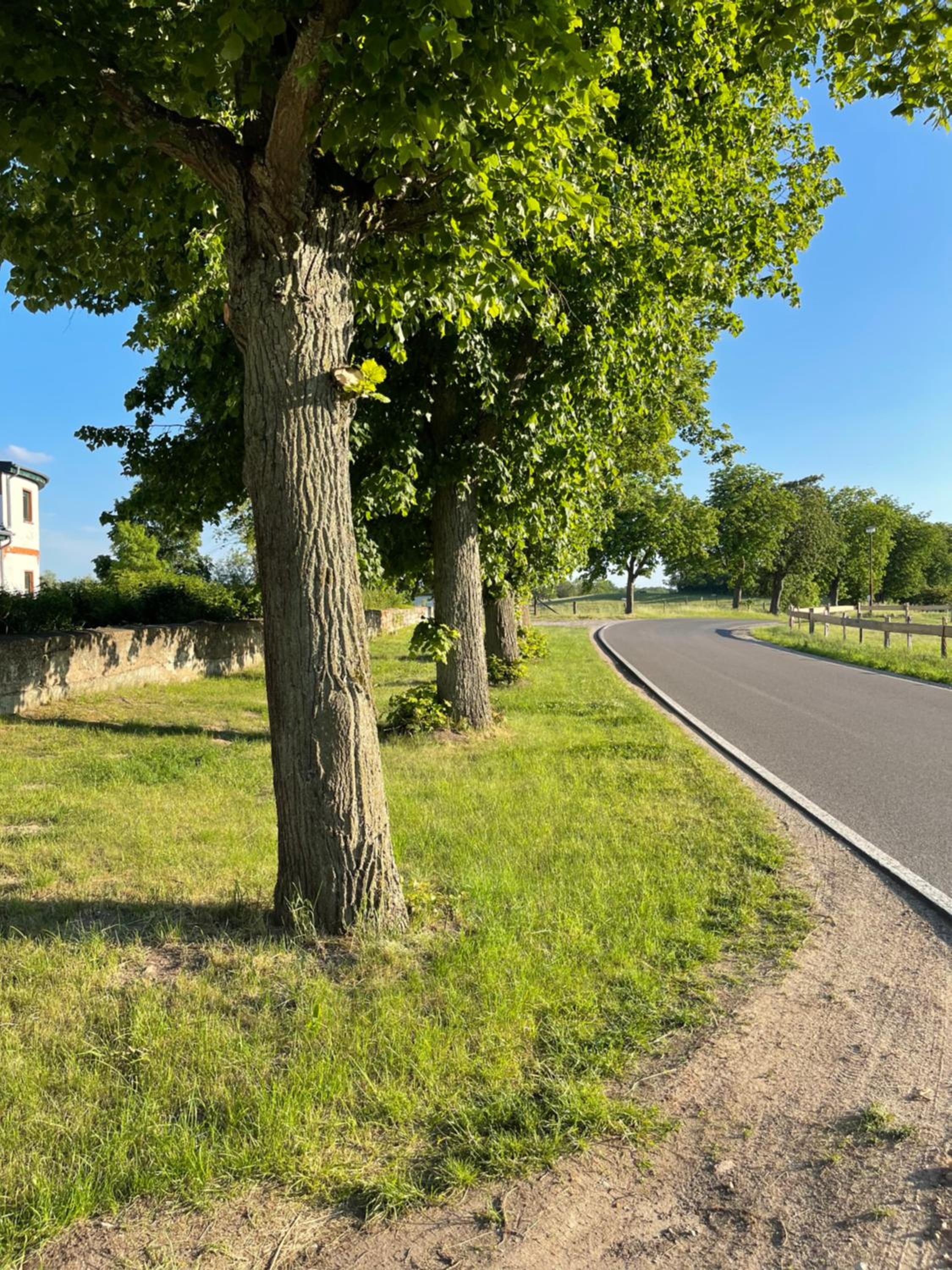 Mitten in der Natur : Ferienwohnung mit 3 Schlafzimmern, neu eingerichtet