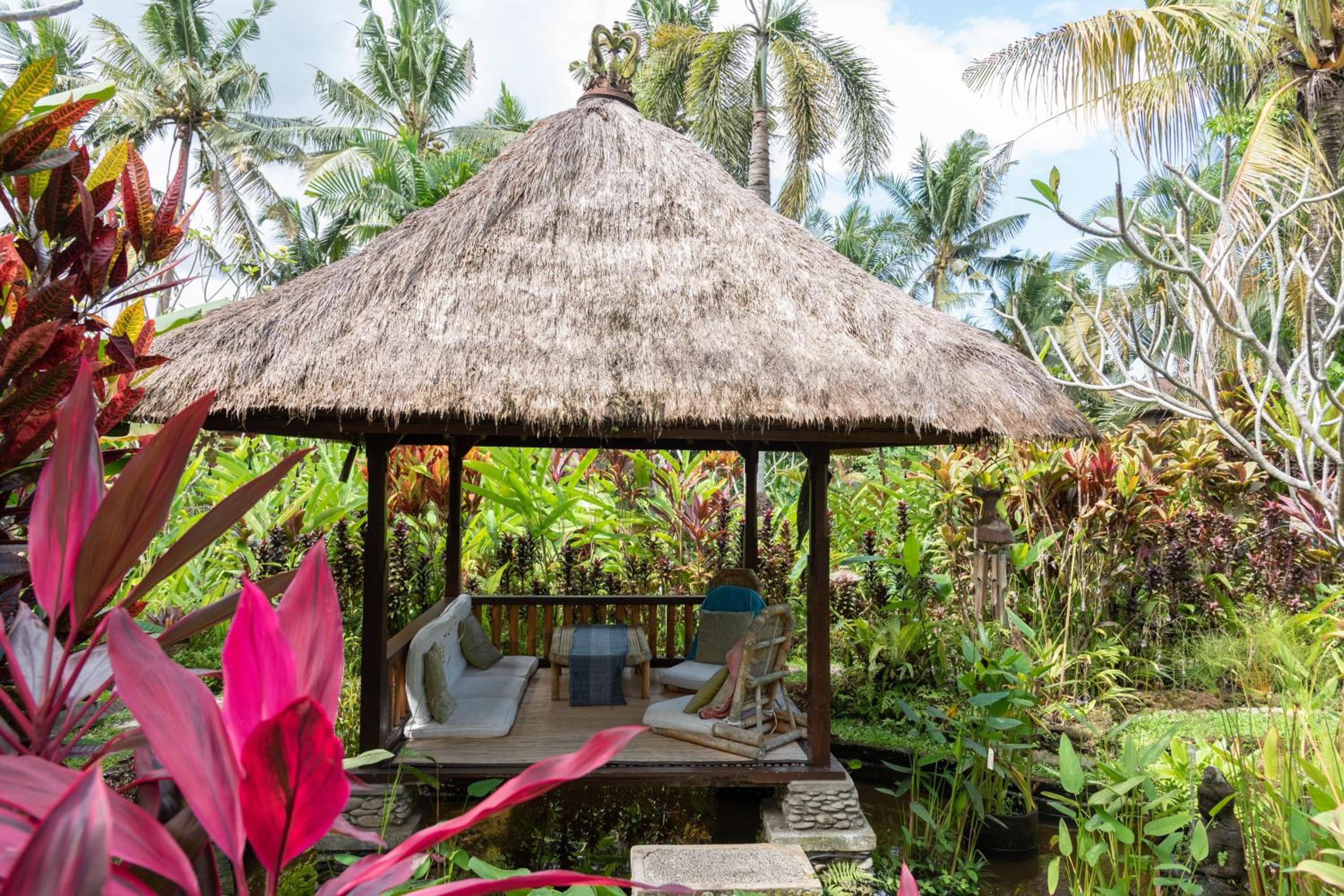 Bali Firefly BnB view 5