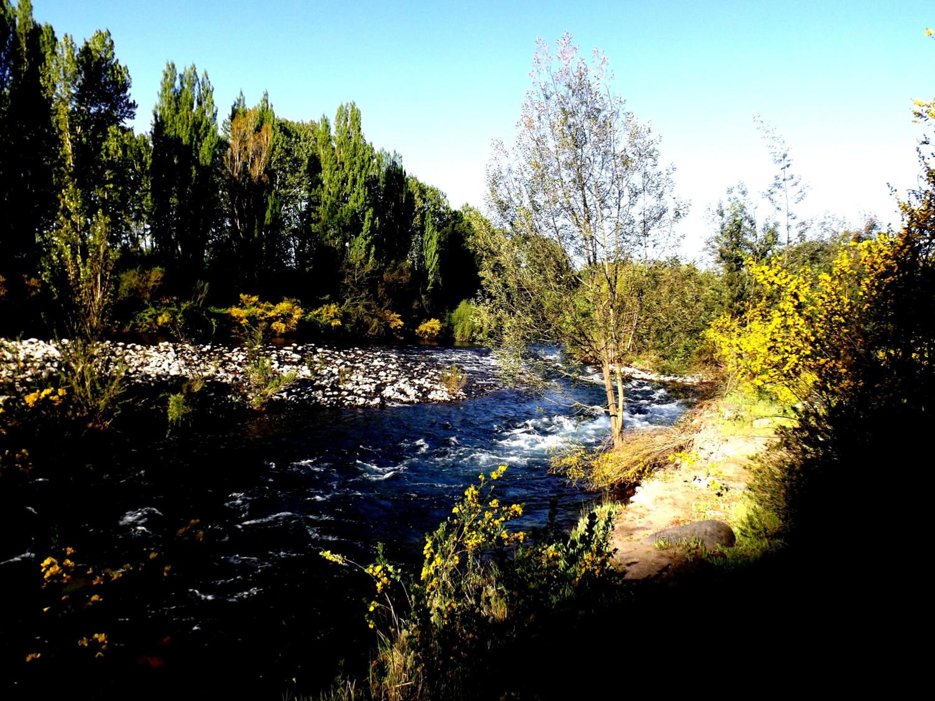Cabañas Aguas Claras