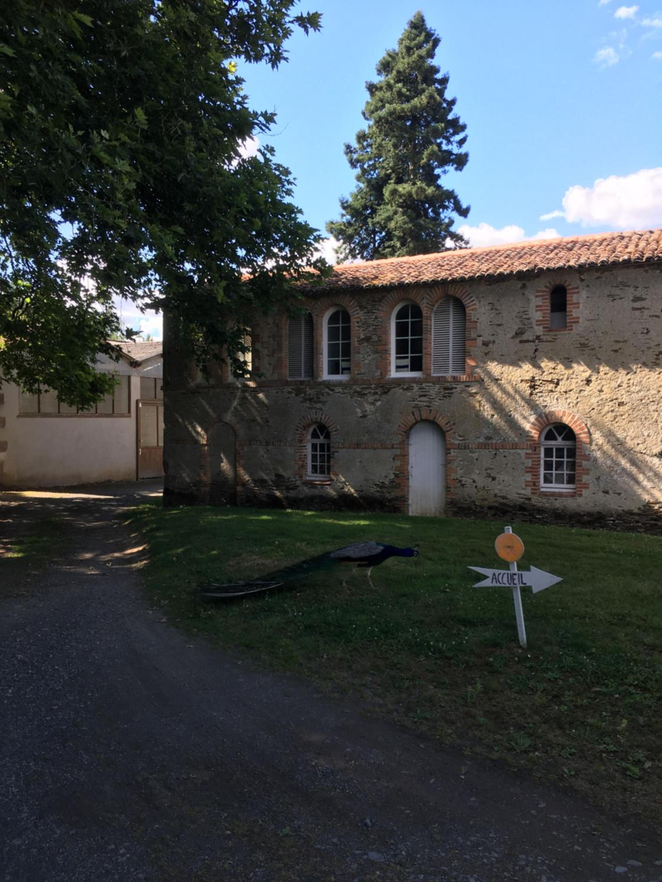 Cabanes et chambre à la Bernardiere view 4