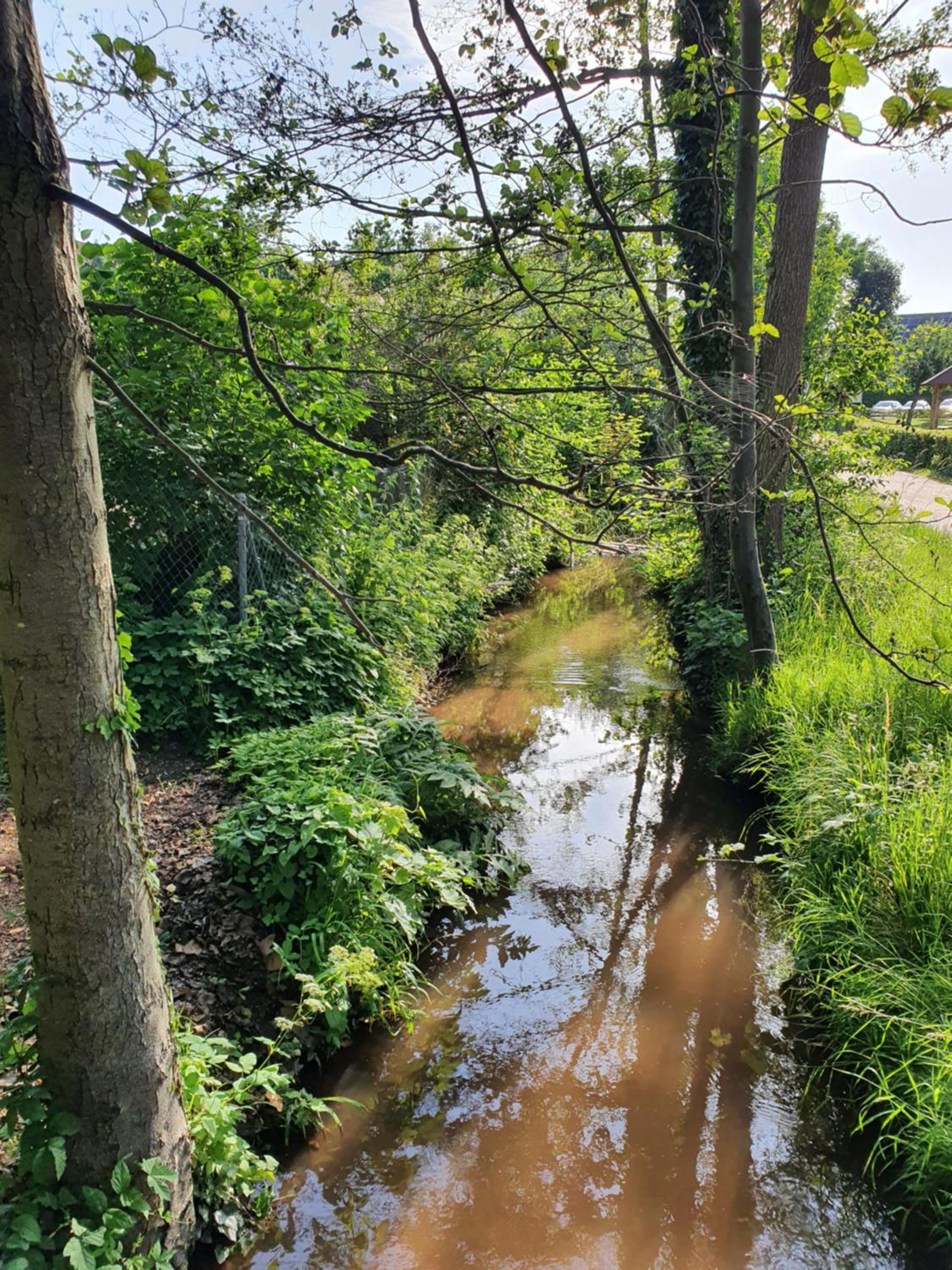 Alte Goldschmiede Südpfalz