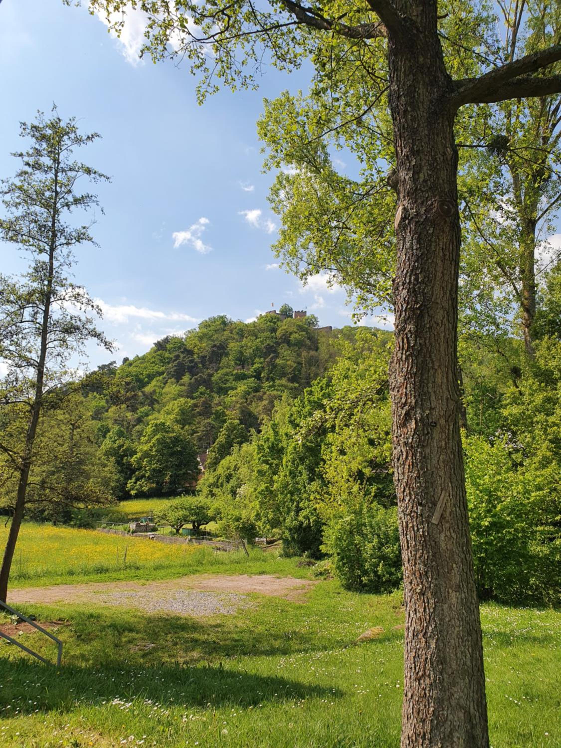 Alte Goldschmiede Südpfalz