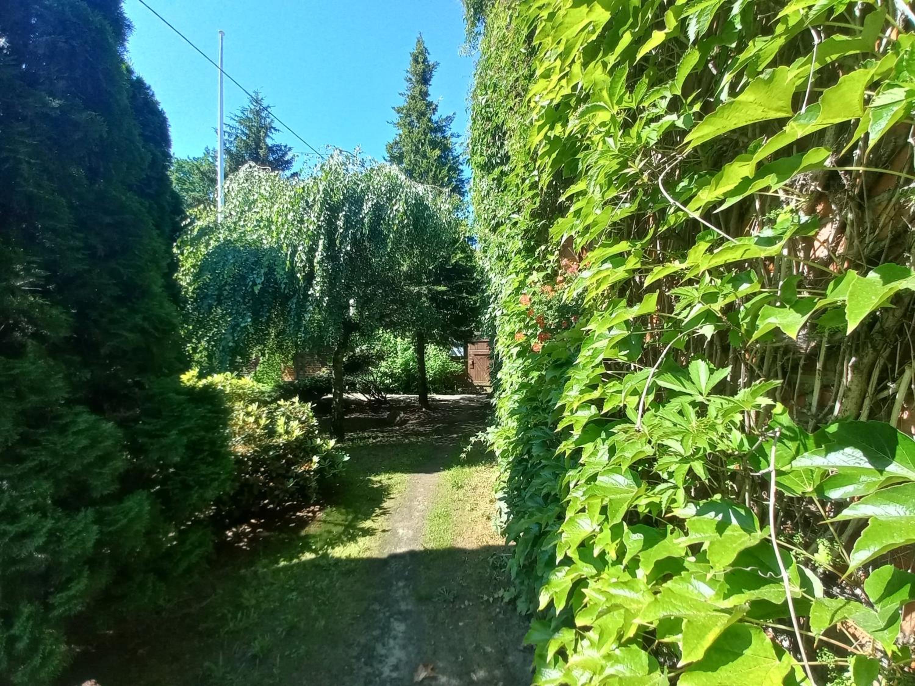 Photo 63