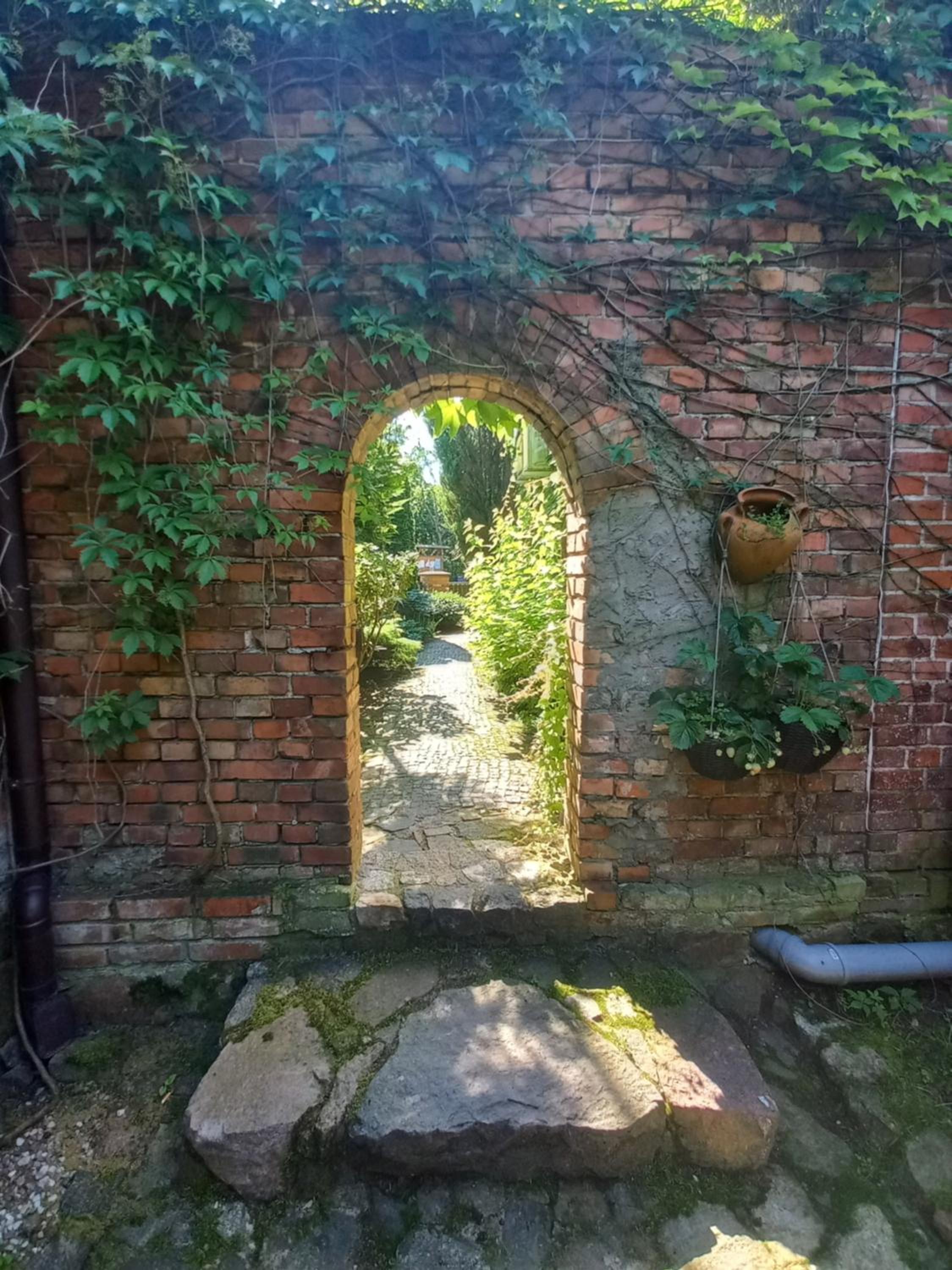 Photo 49
