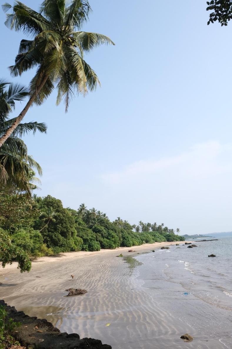 Bambolim Beach Resort view 3