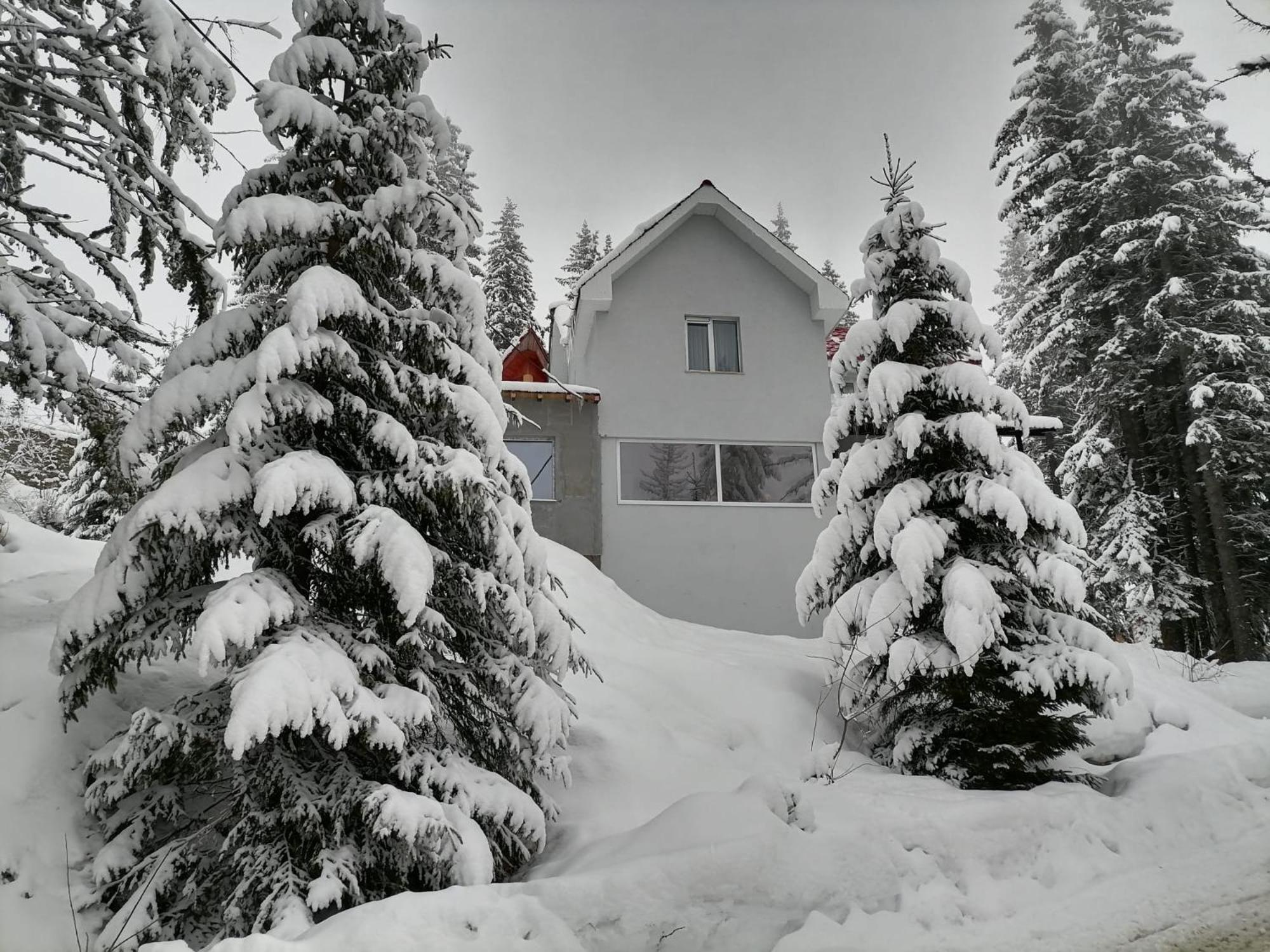 Photo 25