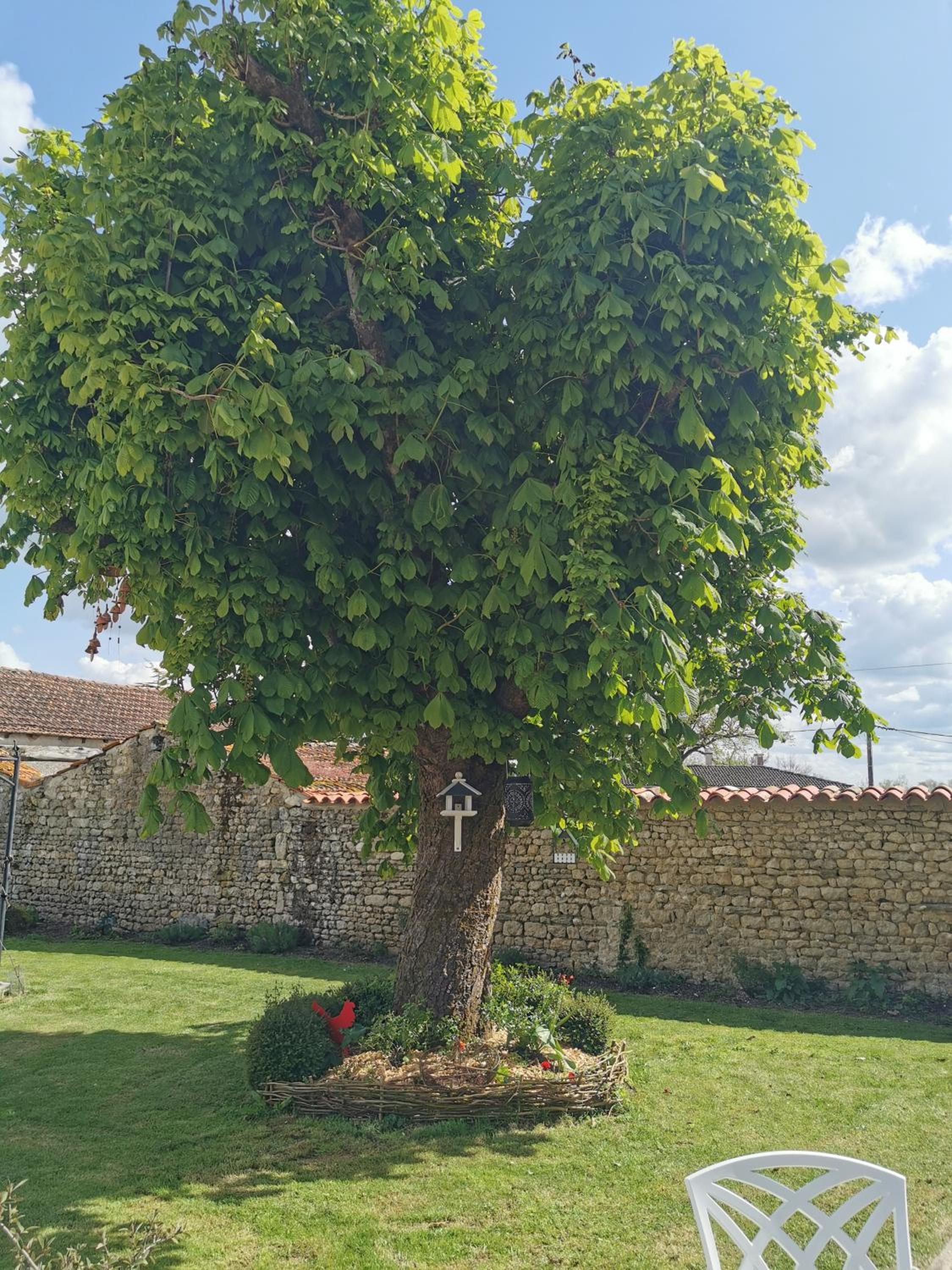 Photo 28