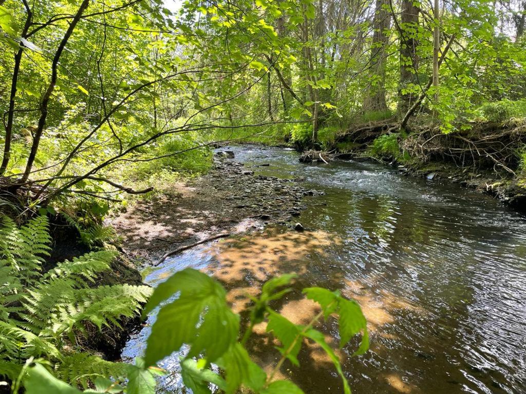 Die Wasseramsel