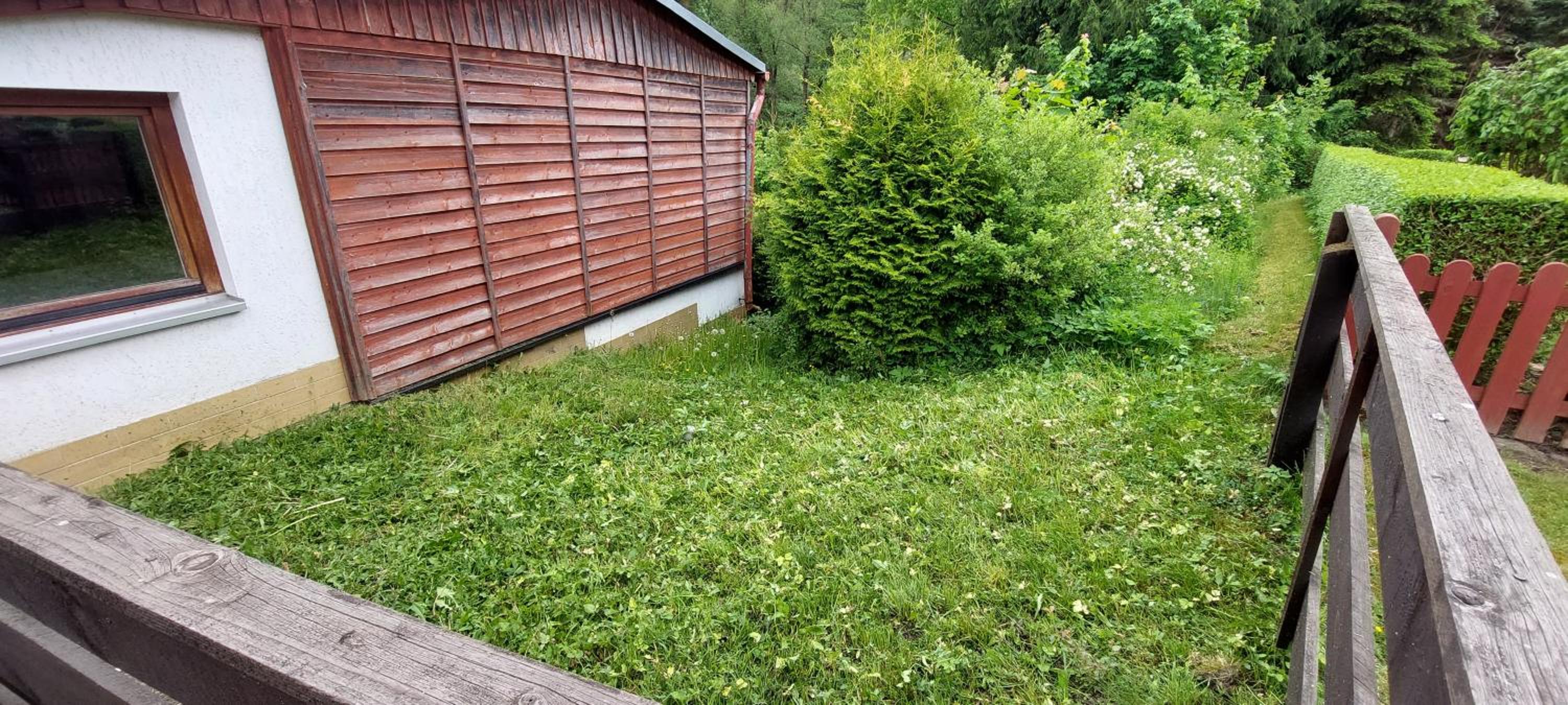 Die Wasseramsel