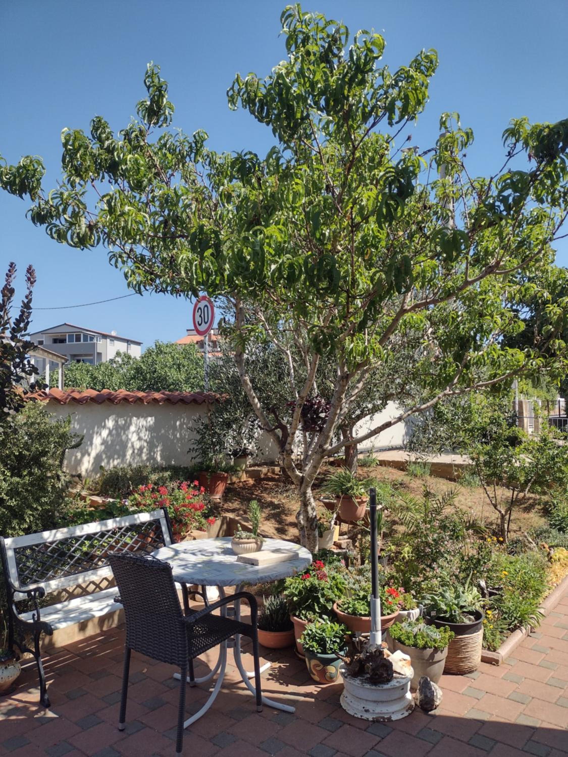 Apartment Marsa