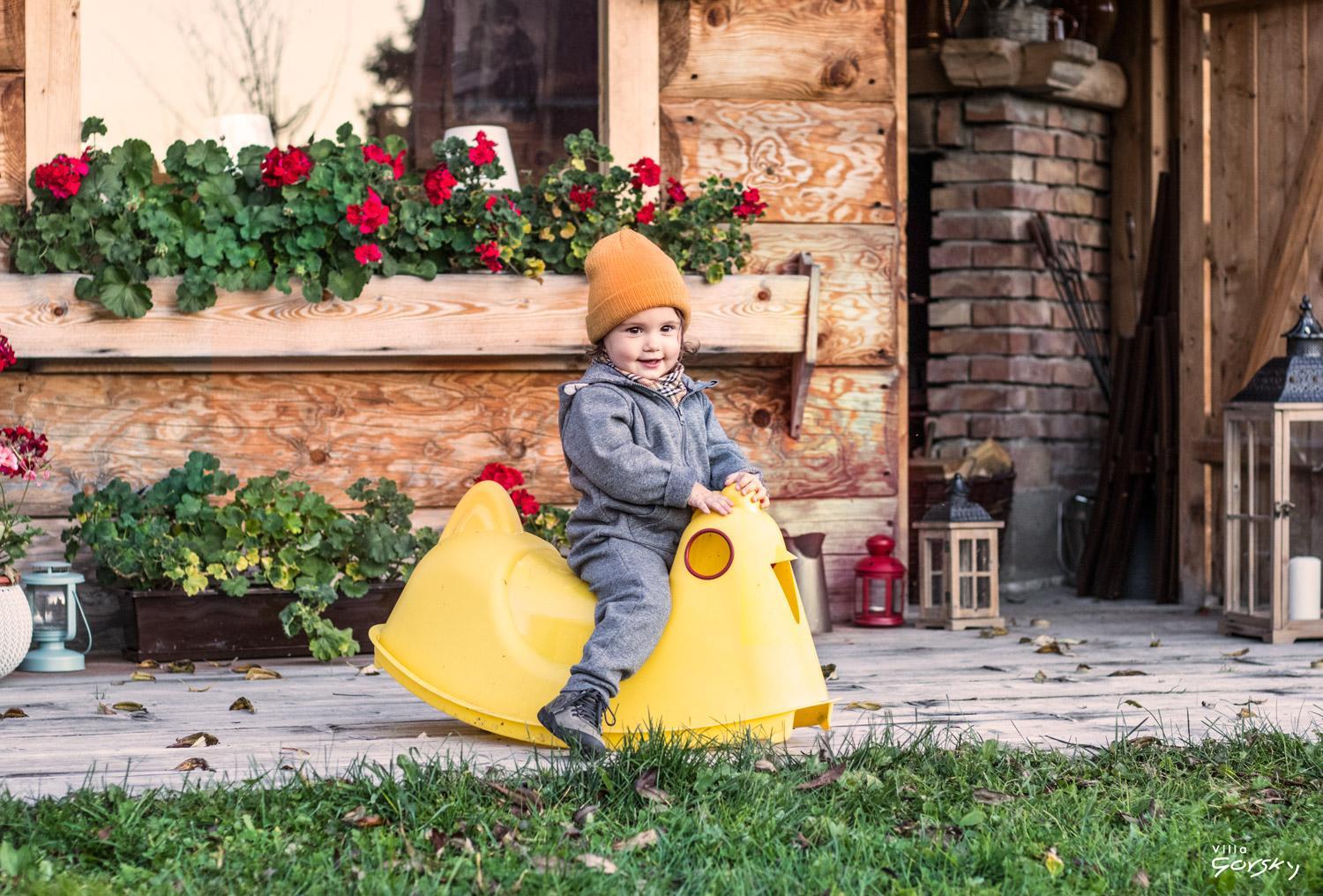 Luxury Chalet Villa Gorsky
