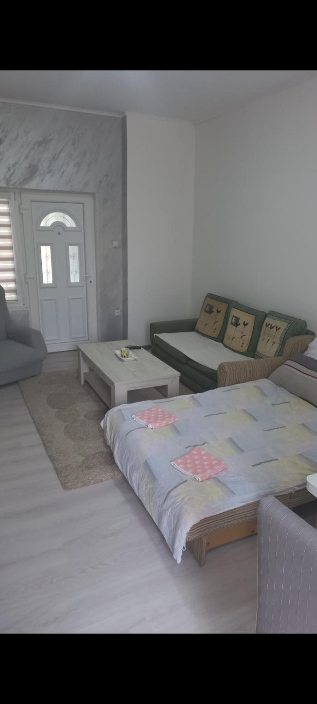 Apartman LJILJANA BELA CRKVA view 5