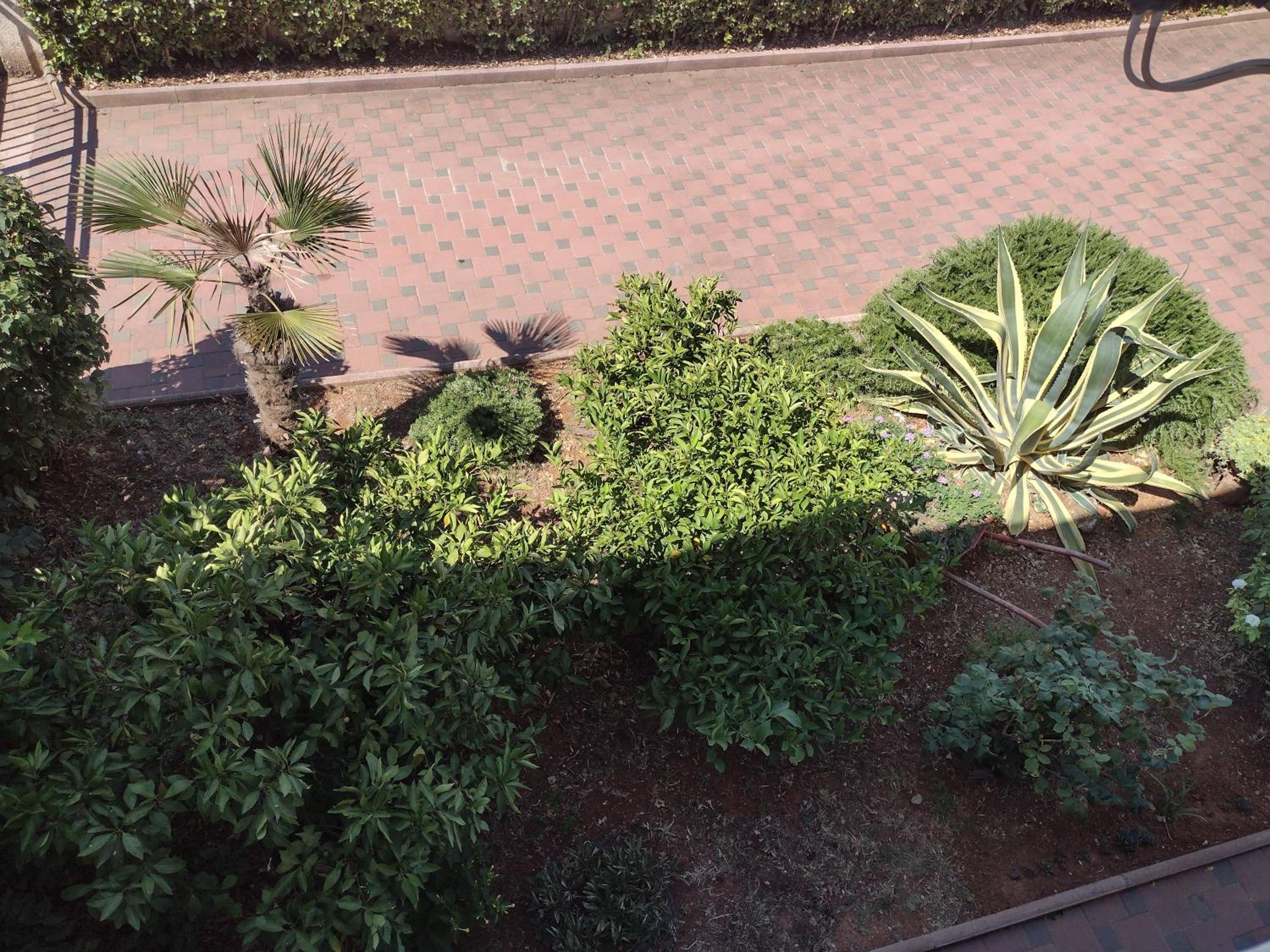 Apartment Marsa