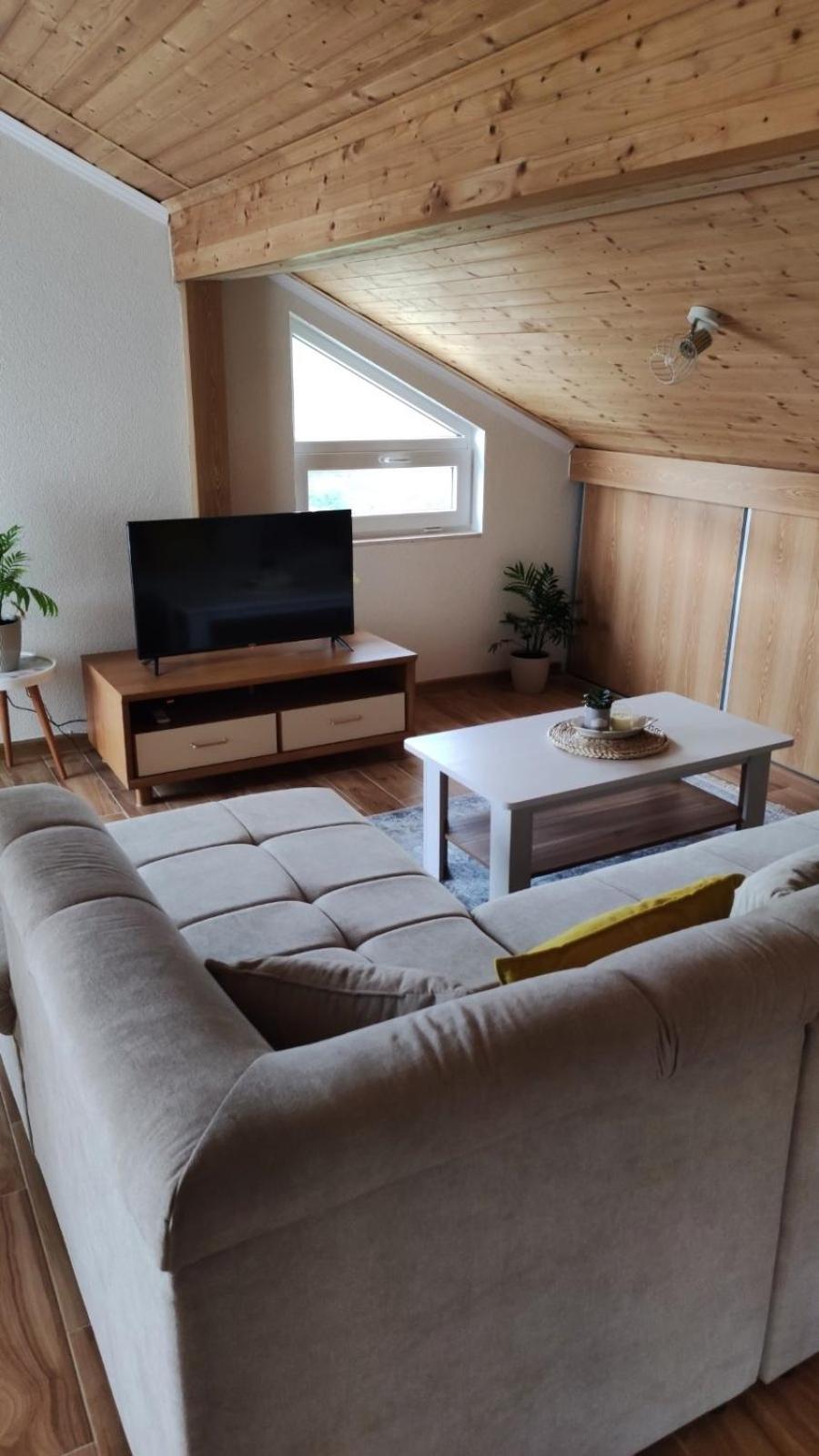 Apartment Dušan